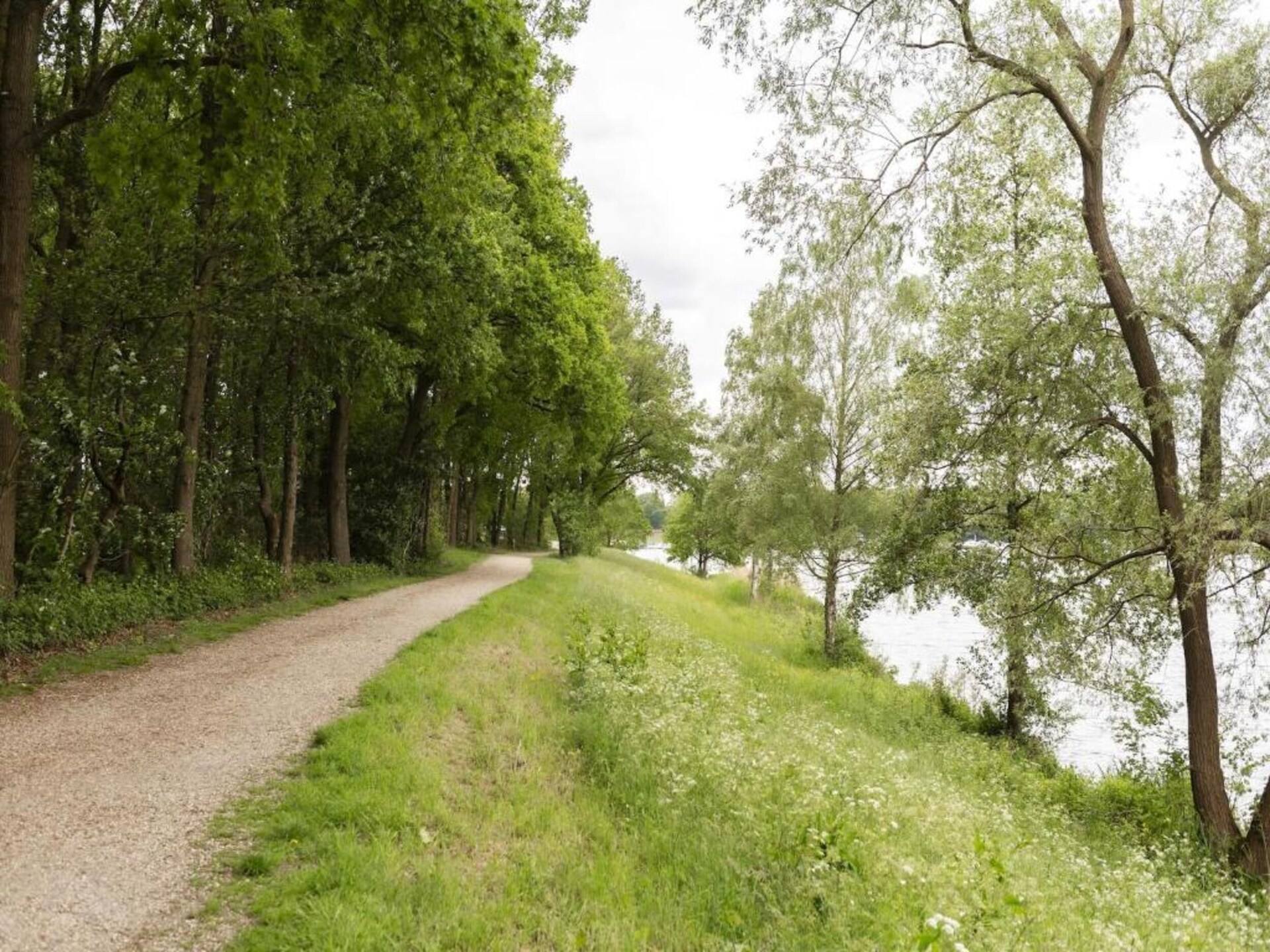 De Riethorst 2: Luxe vakantiehuis met omheinde tuin in Plasmolen, Limburg - foto 38