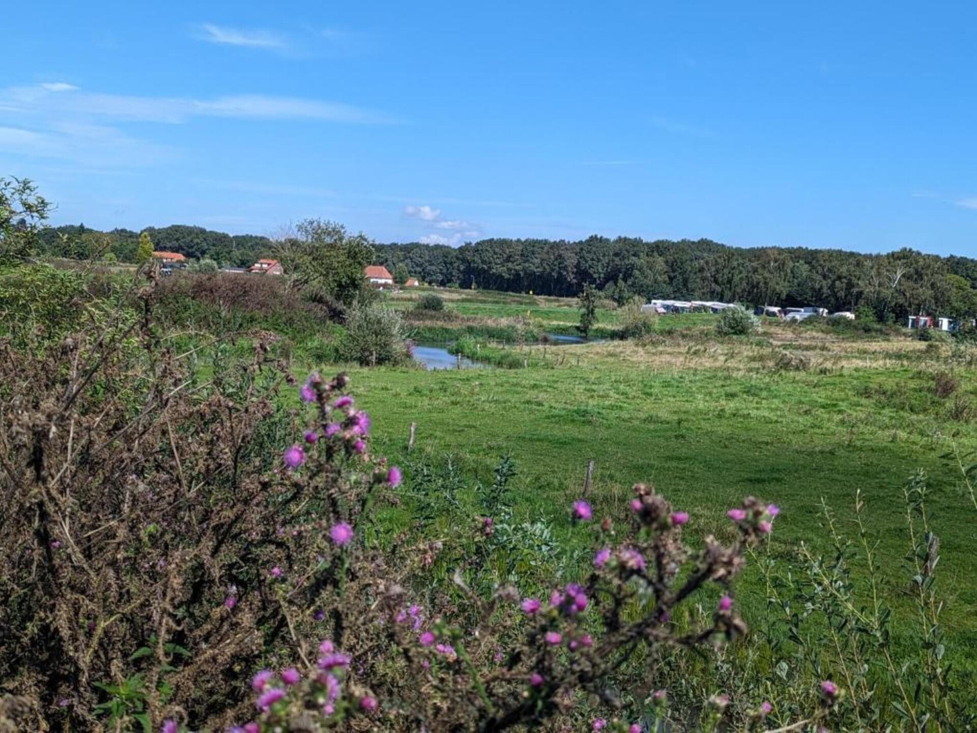 De Riethorst 1: Gezellig vakantiehuis met omheinde tuin in Plasmolen - foto 37
