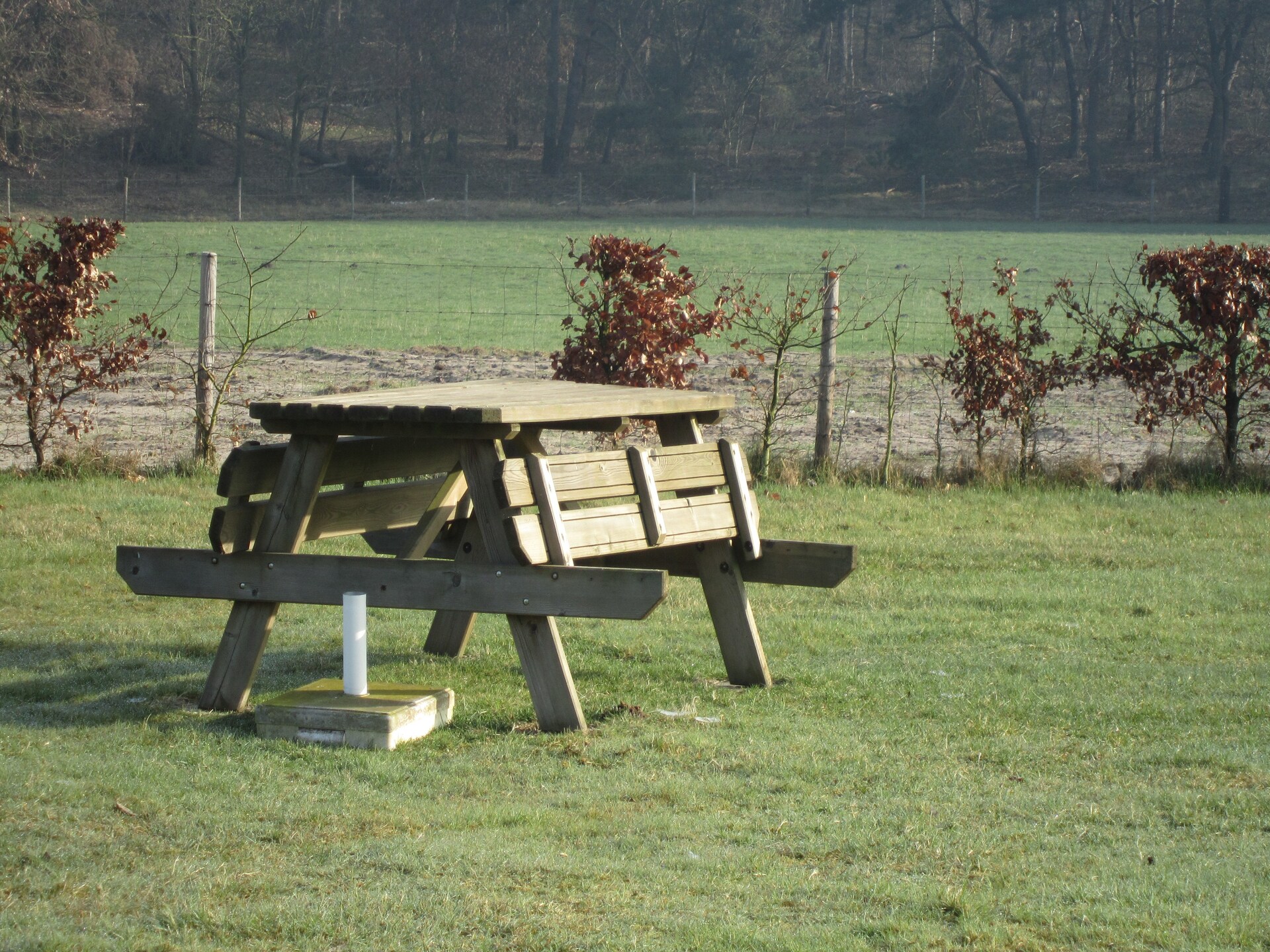 Le Petit Miracle: Luxe natuurretraite in Nationaal Park De Maasduinen - foto 21