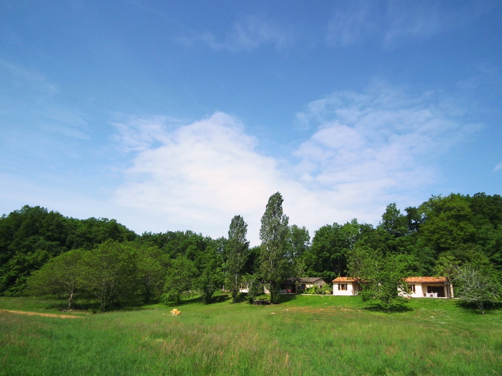 Charmant landelijk chalet Maisonnette du Lot in Gavaudun - foto 12