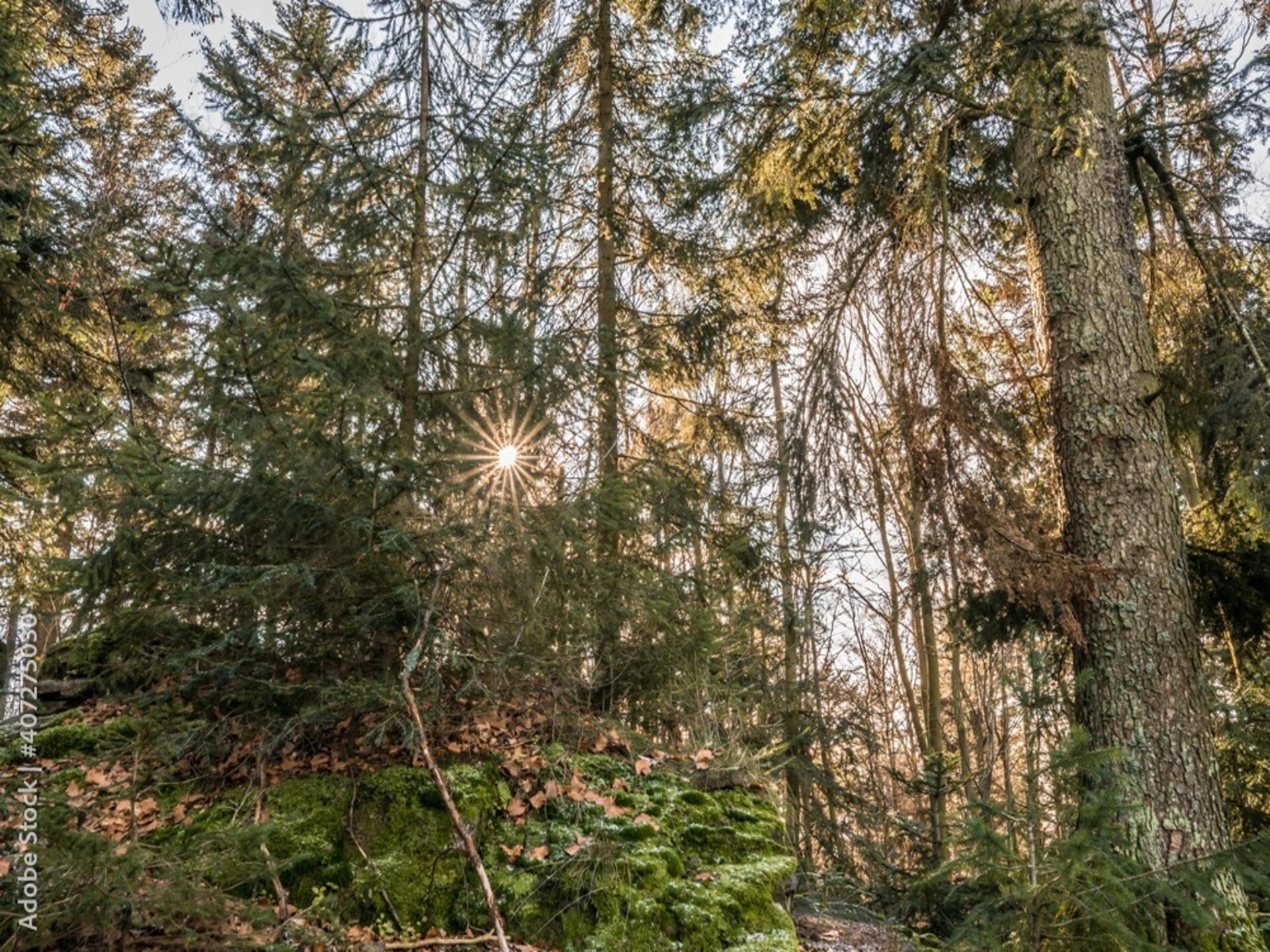 Ruime villa voor 7 in Gavaudun met privétuin en huisdieren welkom - foto 30