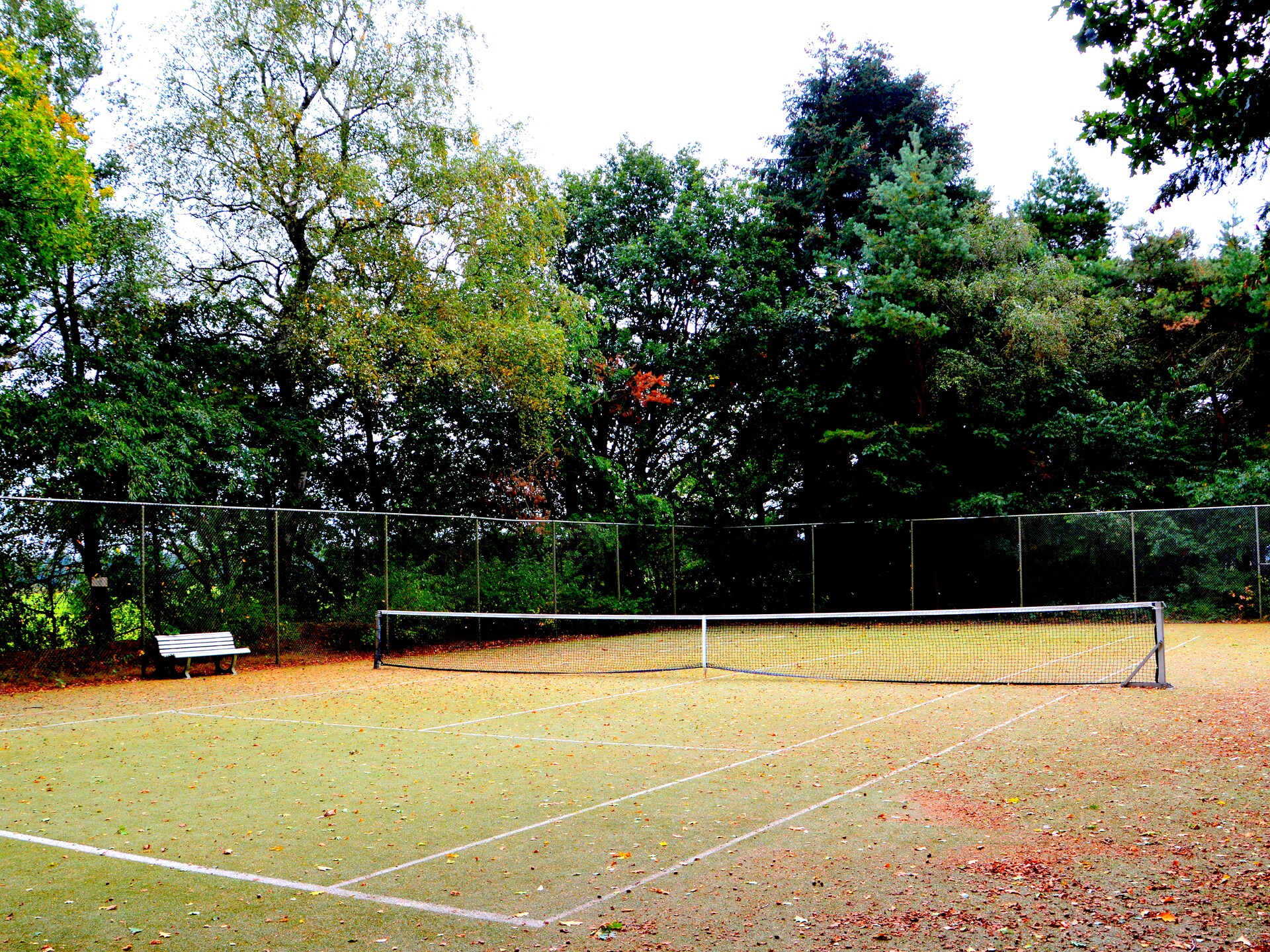 Landelijk landhuis met privébos, wellness en tennisbaan in Oploo - foto 33