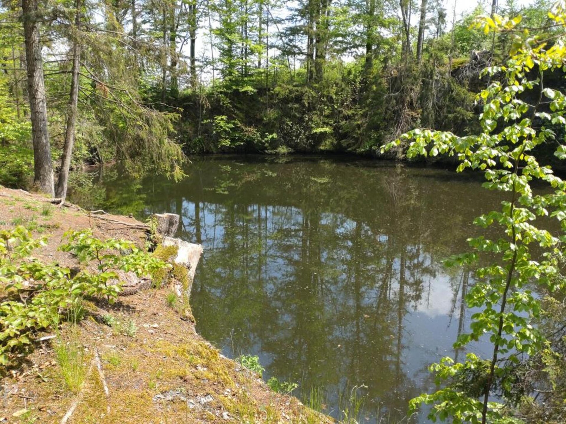 Sfeervol 10-persoons huis in Oude Bakkerij bij het bos in Bruntal - foto 29