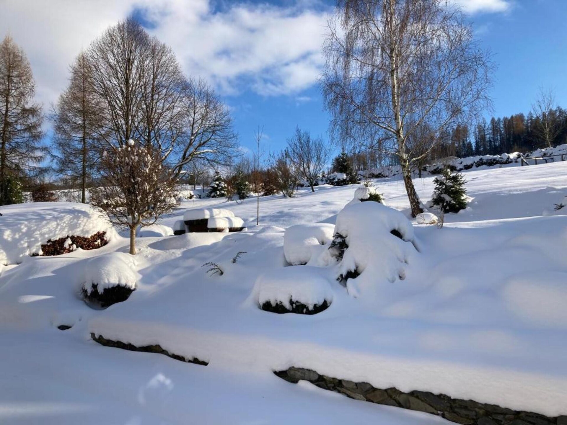 Sfeervol 10-persoons huis in Oude Bakkerij bij het bos in Bruntal - foto 38