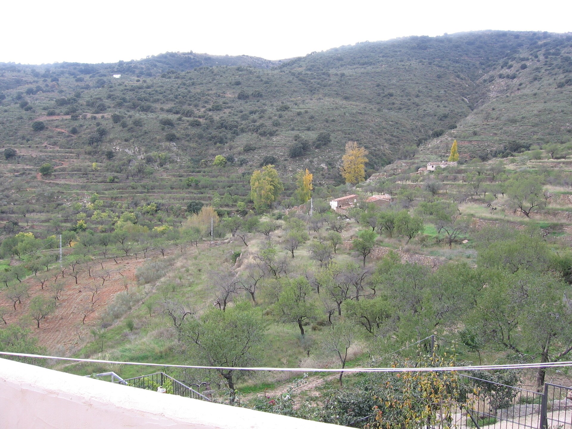 Padre Ramon - foto 14