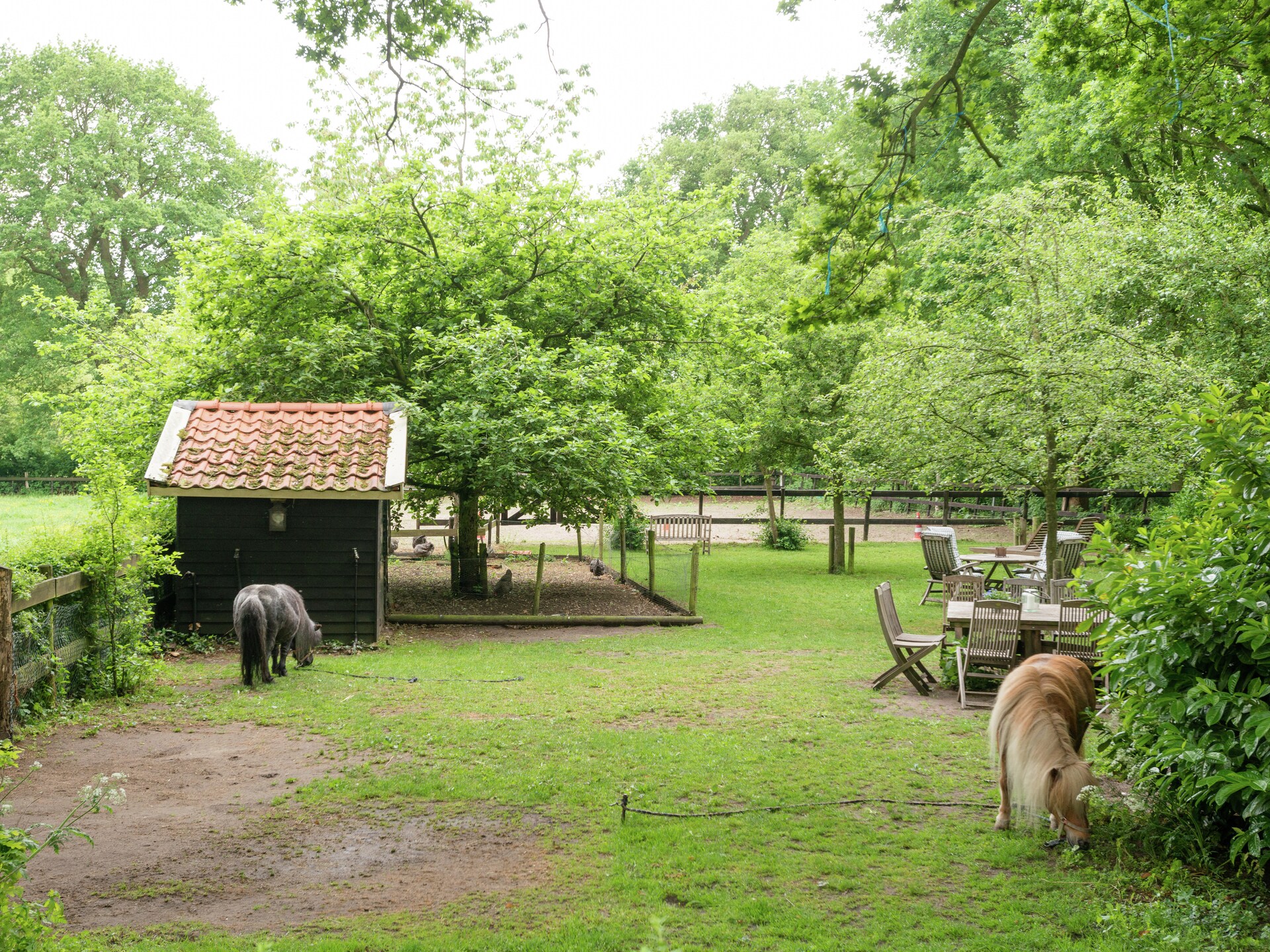 De Eekhorst: luxe woonboerderij met sauna en hottub in het Reestdal - foto 28