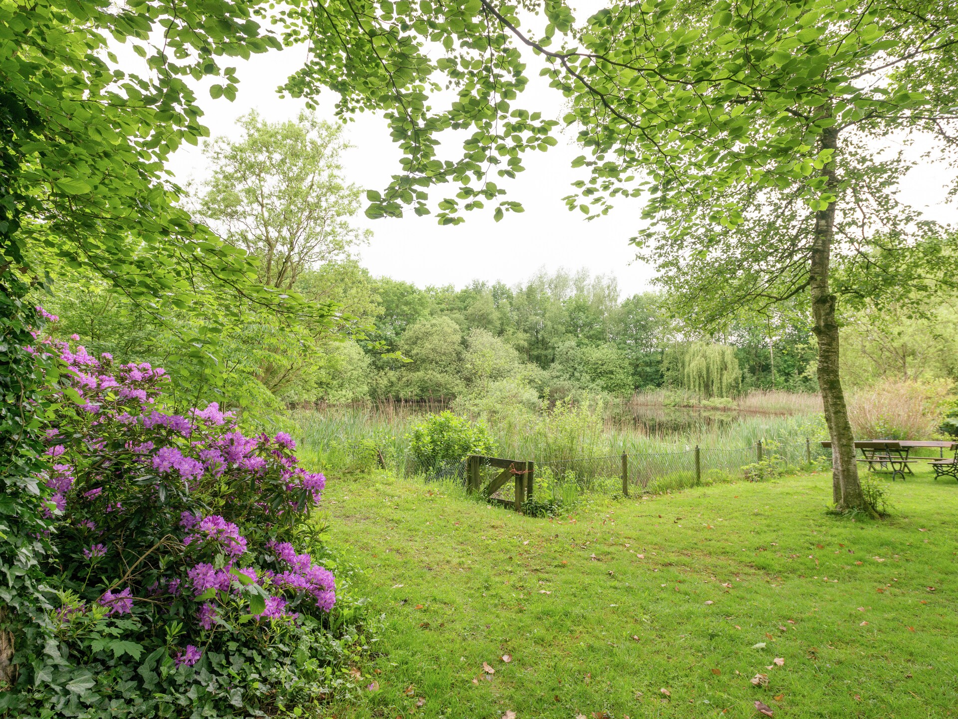 De Eekhorst: luxe woonboerderij met sauna en hottub in het Reestdal - foto 27