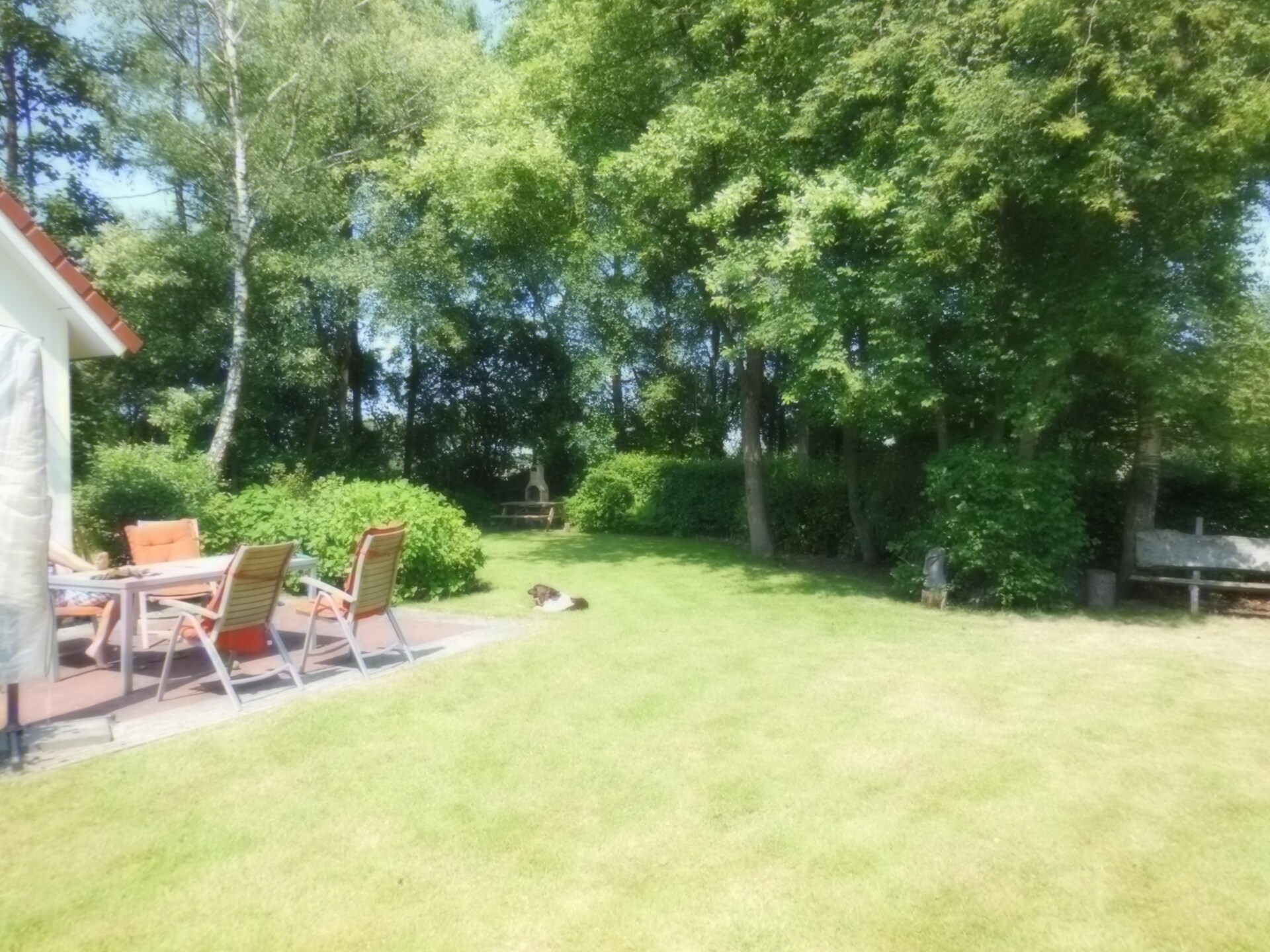 Vrijstaand vakantiehuis in Heeten met tuin, bos op 100 meter - foto 32