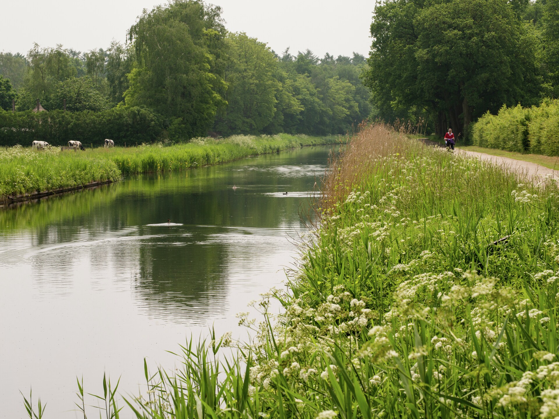 Vrijstaand vakantiehuis in Heeten met tuin, bos op 100 meter - foto 16
