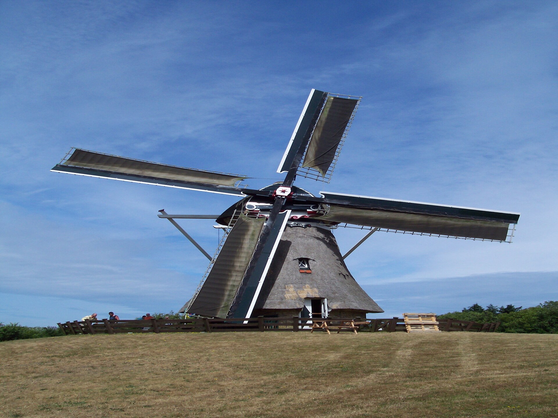 Skries: Vrijstaand vakantiehuis in duingebied Ameland, 1 km van zee - foto 18