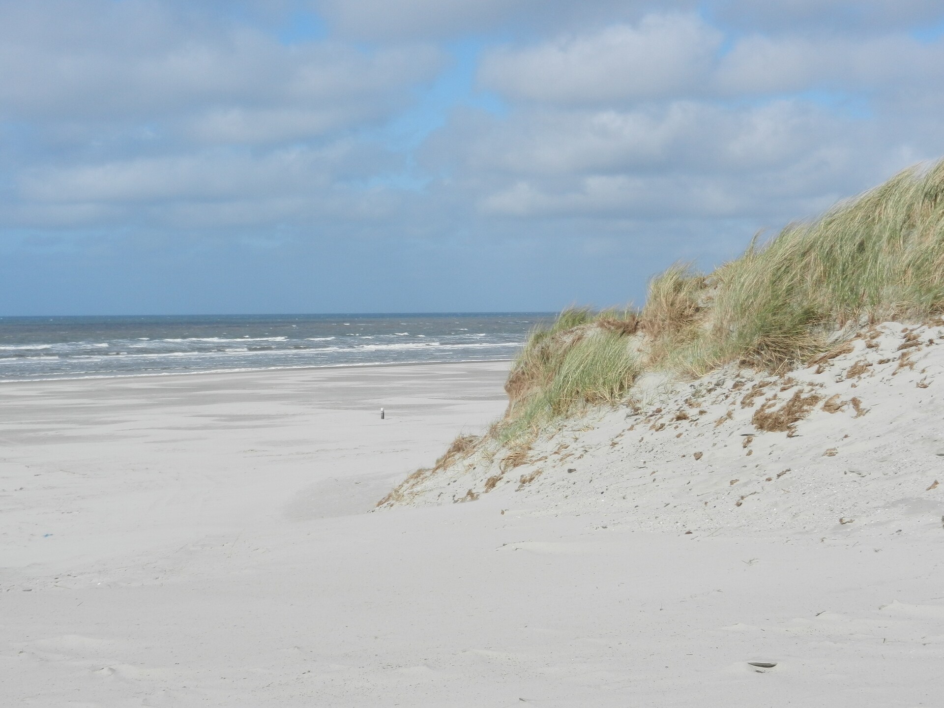 Skries: Vrijstaand vakantiehuis in duingebied Ameland, 1 km van zee - foto 23