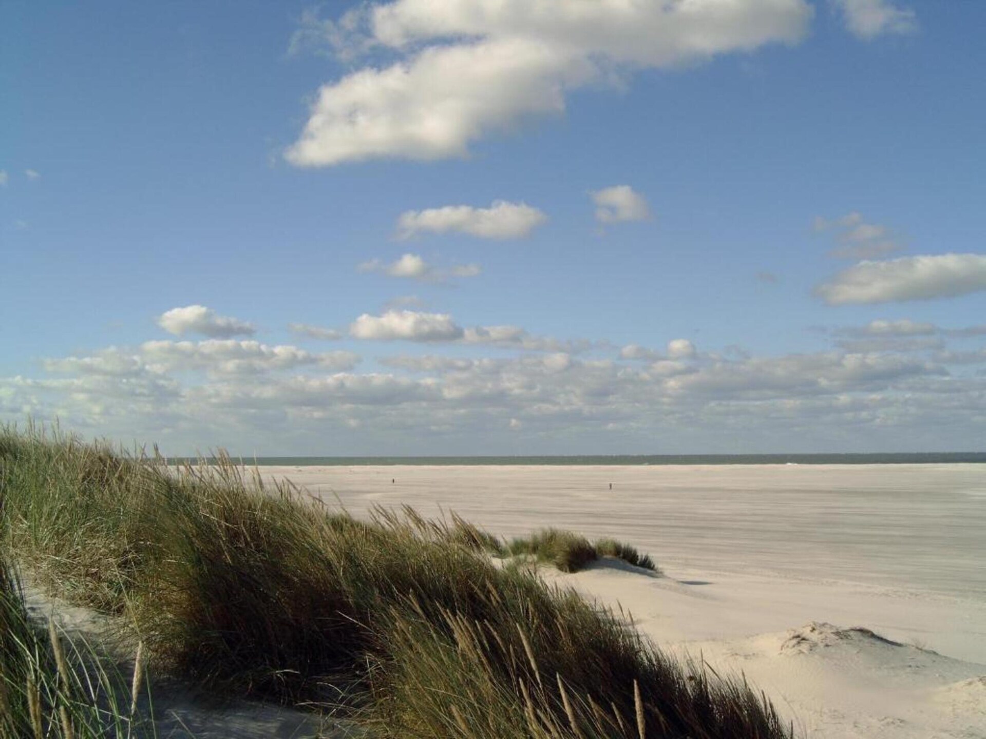 Skries: Vrijstaand vakantiehuis in duingebied Ameland, 1 km van zee - foto 32