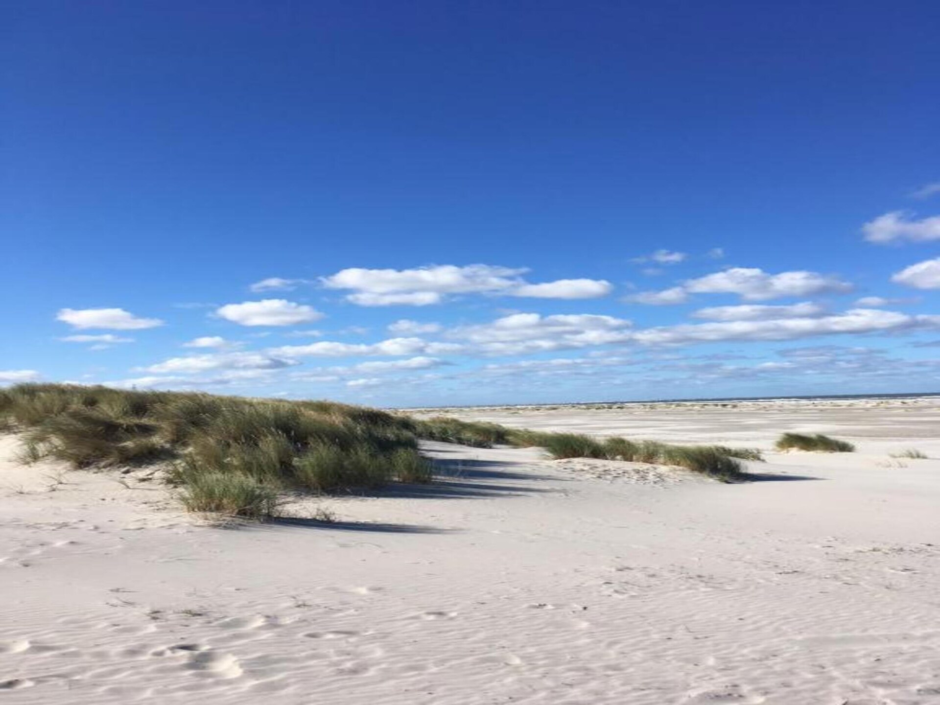 Skries: Vrijstaand vakantiehuis in duingebied Ameland, 1 km van zee - foto 25