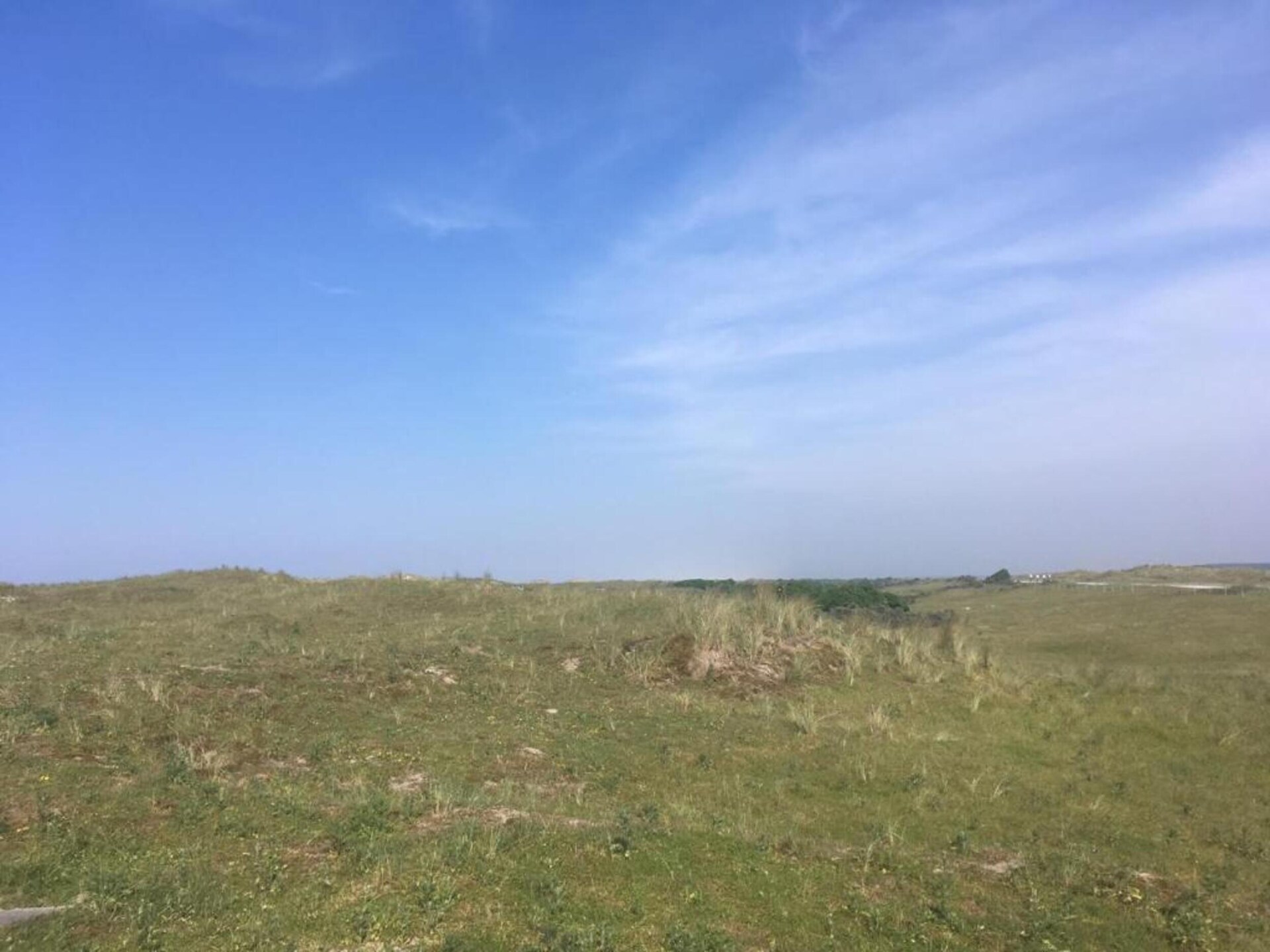 Skries: Vrijstaand vakantiehuis in duingebied Ameland, 1 km van zee - foto 26