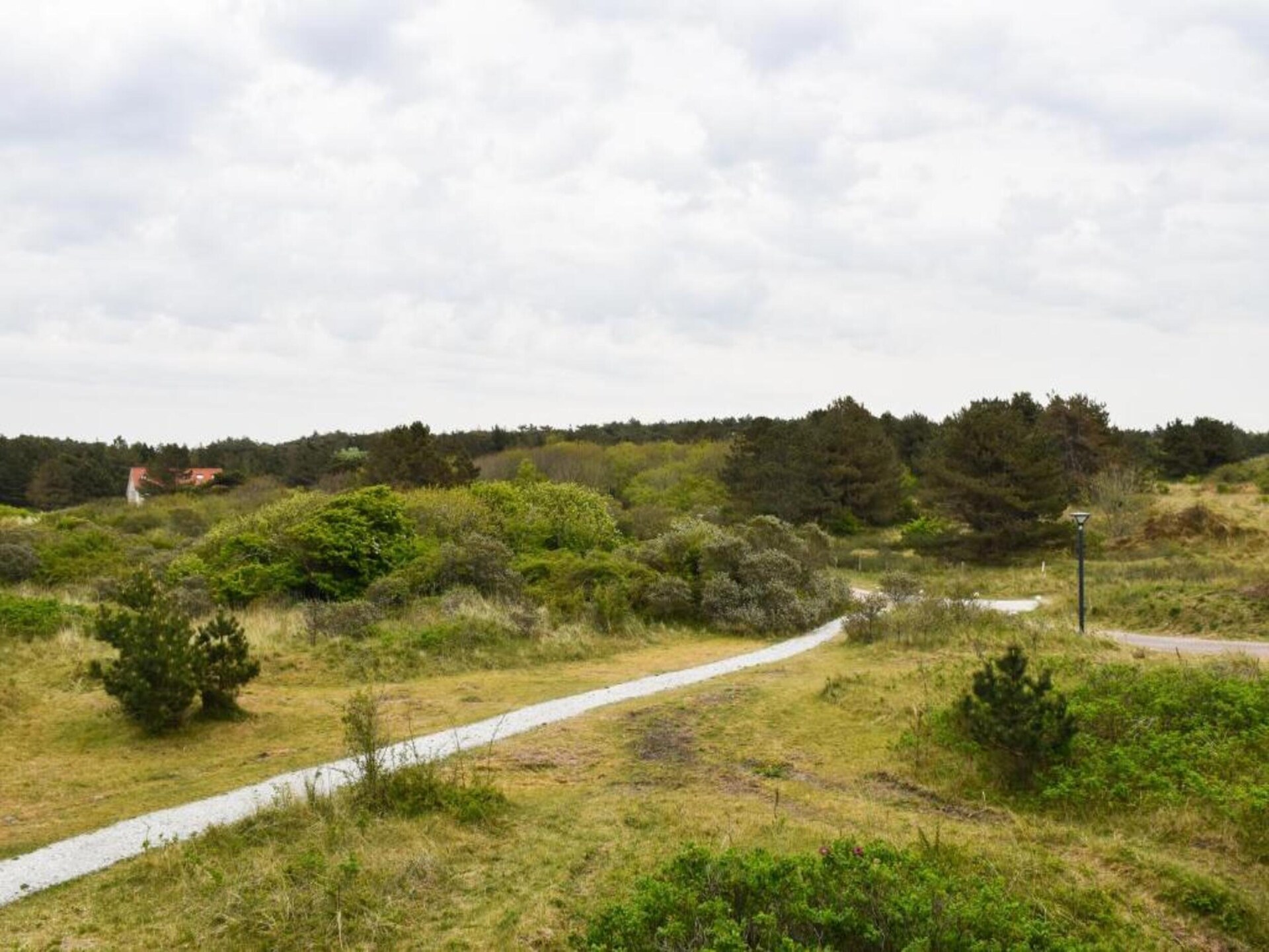 Skries: Vrijstaand vakantiehuis in duingebied Ameland, 1 km van zee - foto 34