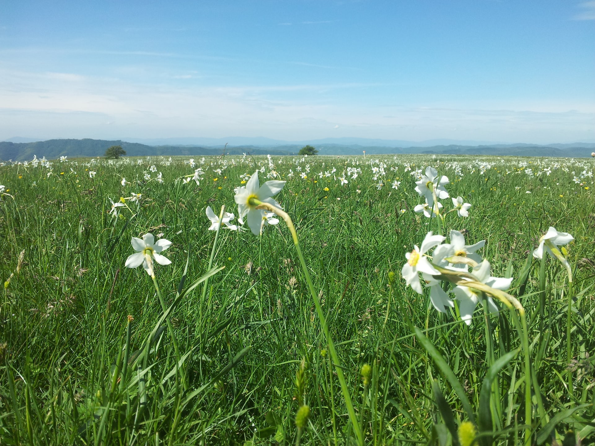 6-persoons vakantiehuis Belvedere in Cagli nabij het meer - foto 34