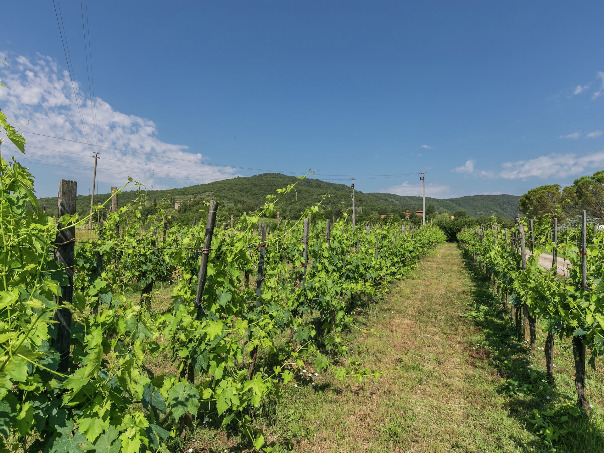 Vakantiehuis San Martino in Bucine met zwembad en grote tuin - foto 30