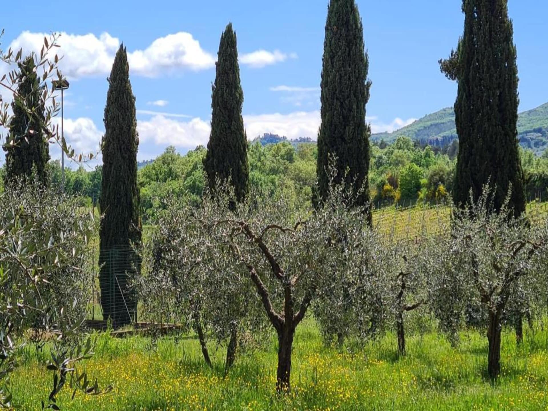 Vakantiehuis San Martino in Bucine met zwembad en grote tuin - foto 34
