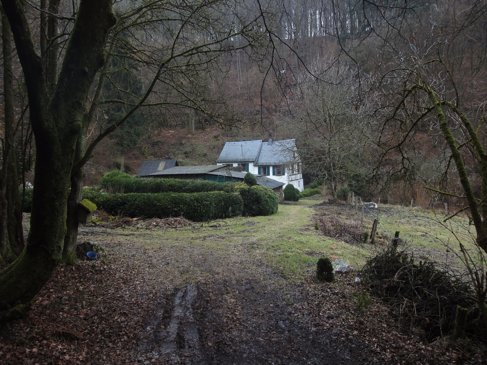Vrijstaand vakantiehuis met sauna en boszicht in de Moezelstreek - foto 22