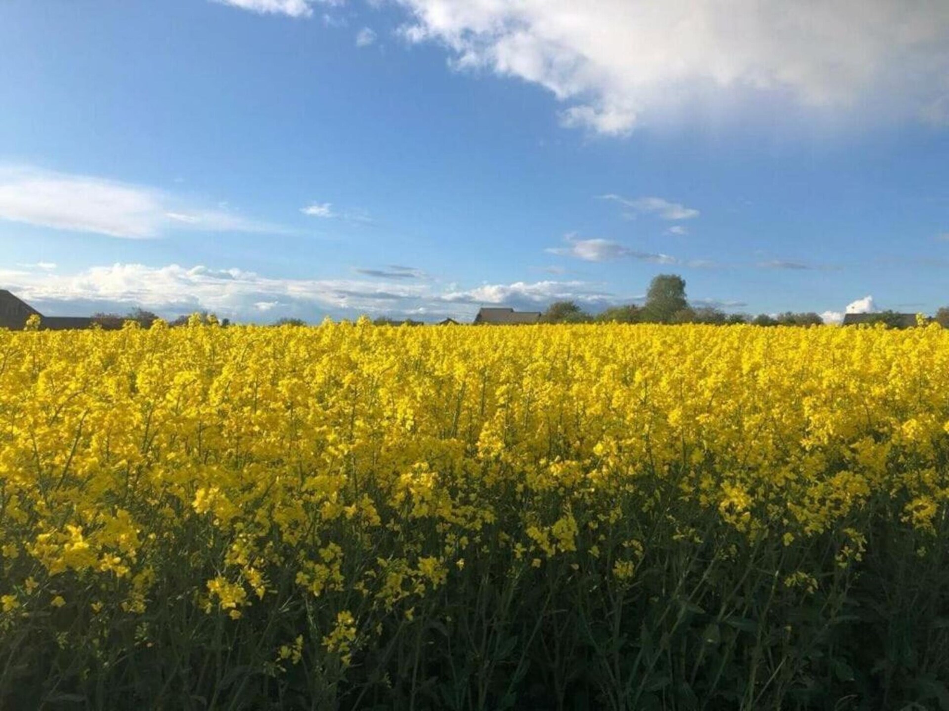 Vrijstaand vakantiehuis met sauna en boszicht in de Moezelstreek - foto 28