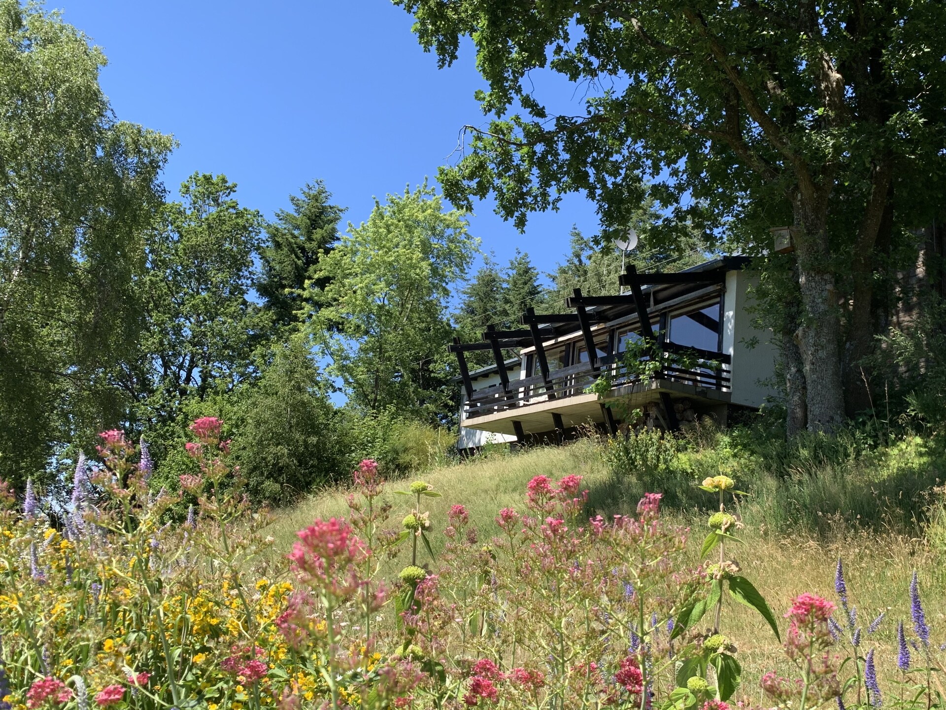 Panoramahaus: Ruim vakantiehuis met weids uitzicht in de Hunsrück - foto 35
