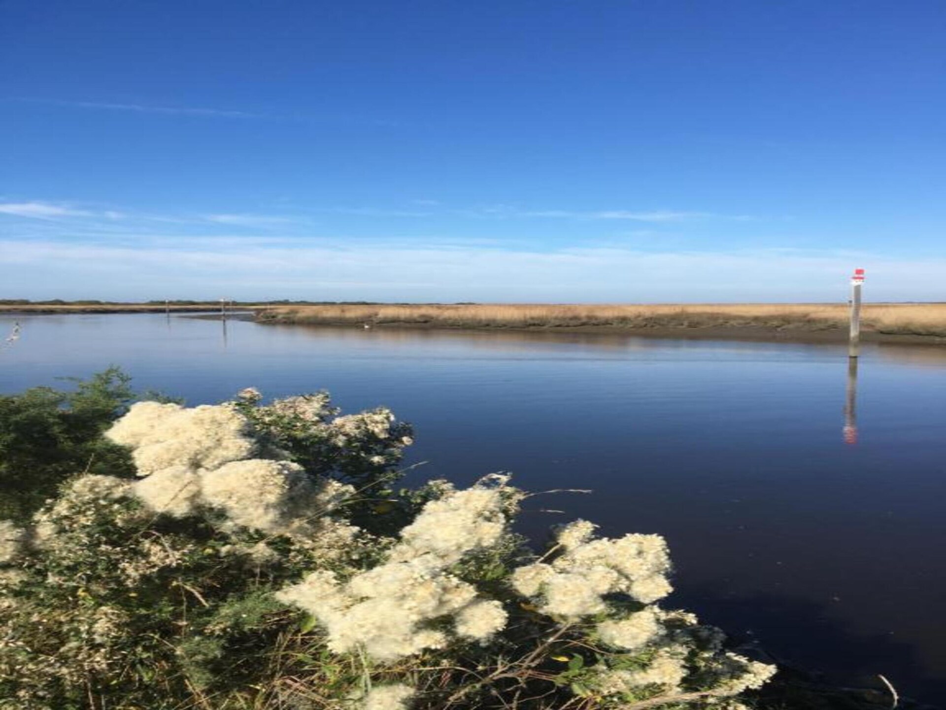 Knusse studio op palen aan de baai van Arcachon, Le Teich - foto 34