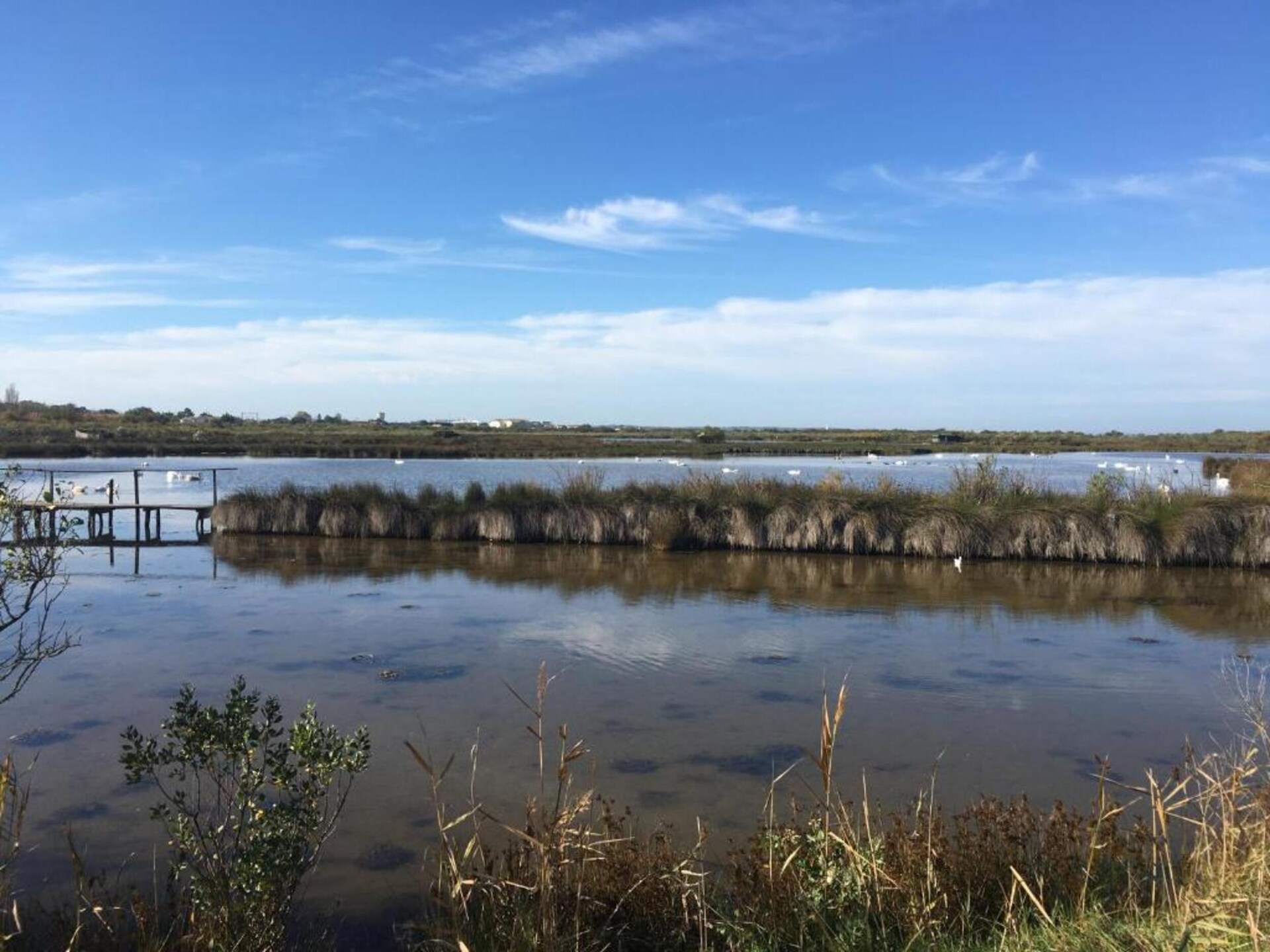 Knusse studio op palen aan de baai van Arcachon, Le Teich - foto 36