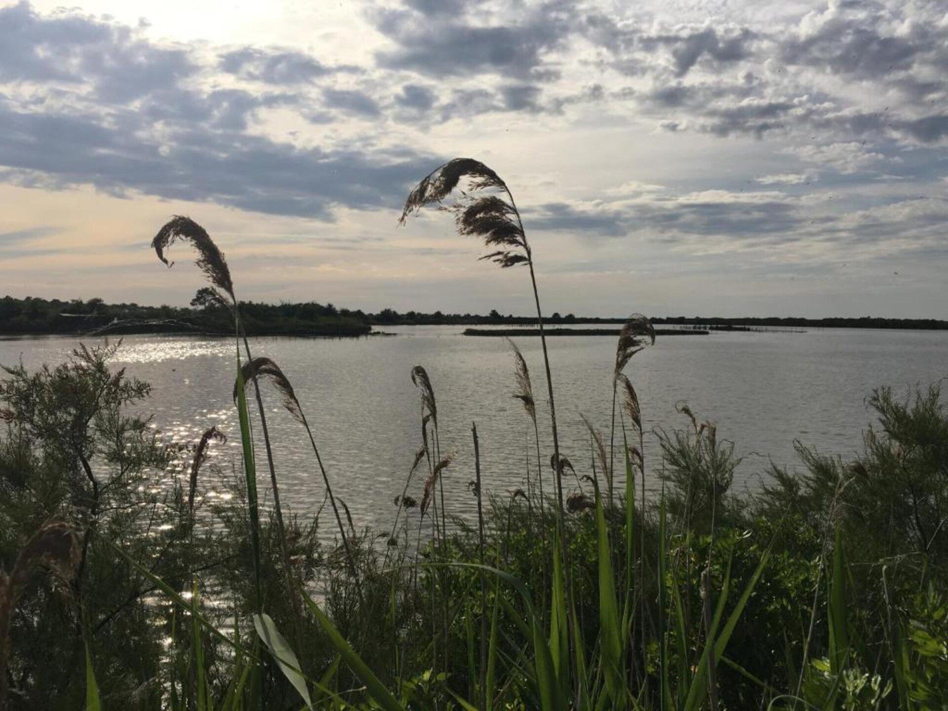 Knusse studio op palen aan de baai van Arcachon, Le Teich - foto 39