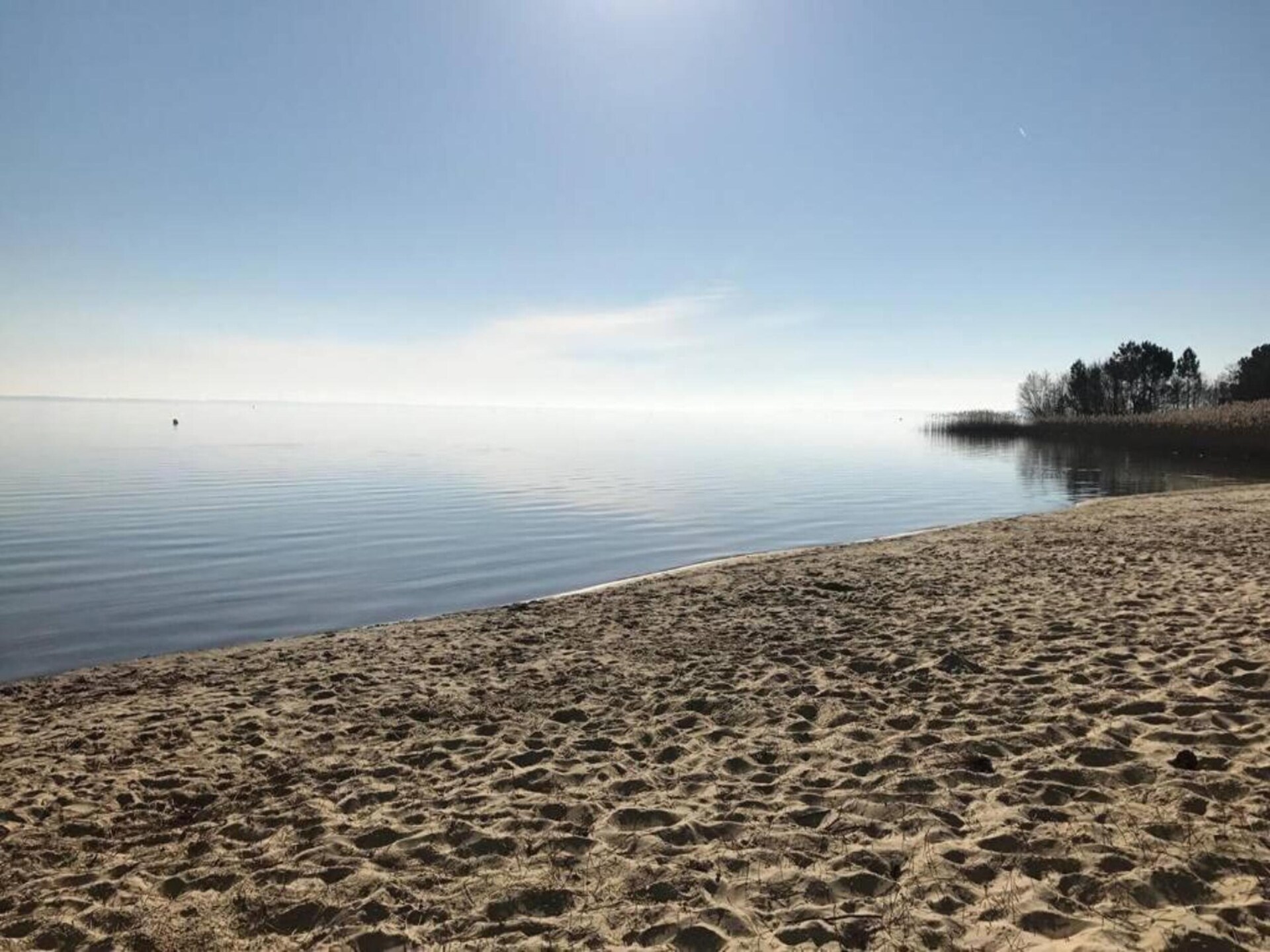 Knusse studio op palen aan de baai van Arcachon, Le Teich - foto 35