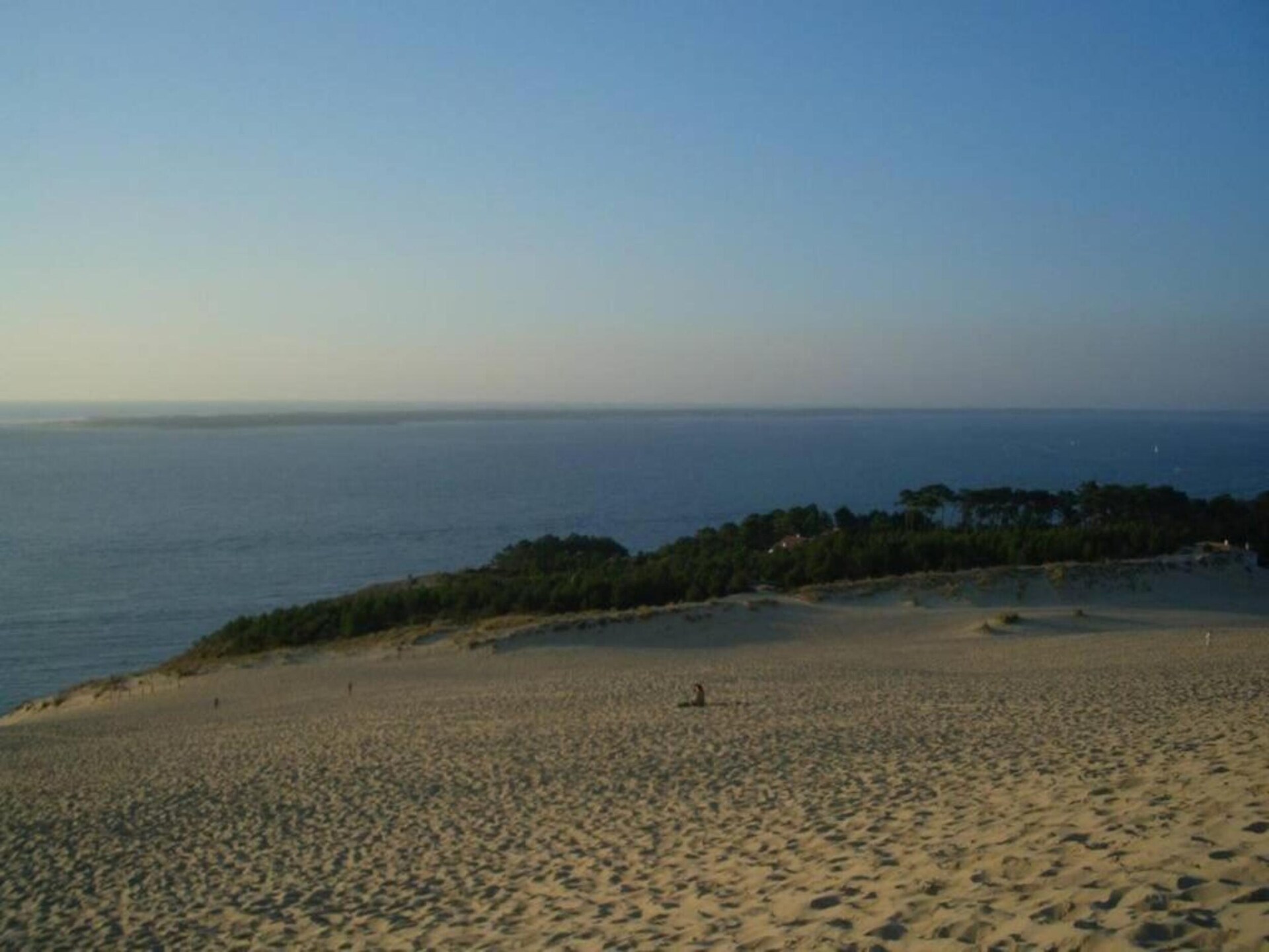 Knusse studio op palen aan de baai van Arcachon, Le Teich - foto 23