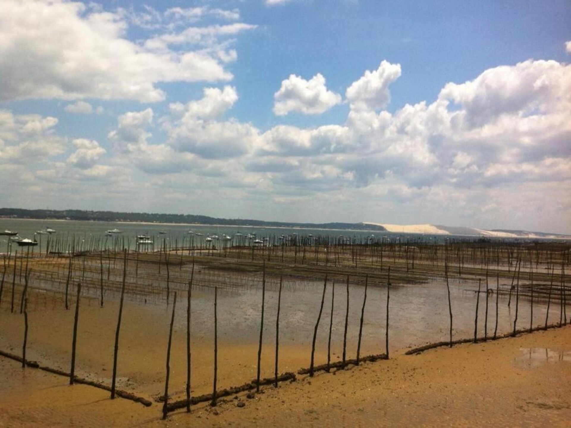 Knusse studio op palen aan de baai van Arcachon, Le Teich - foto 26