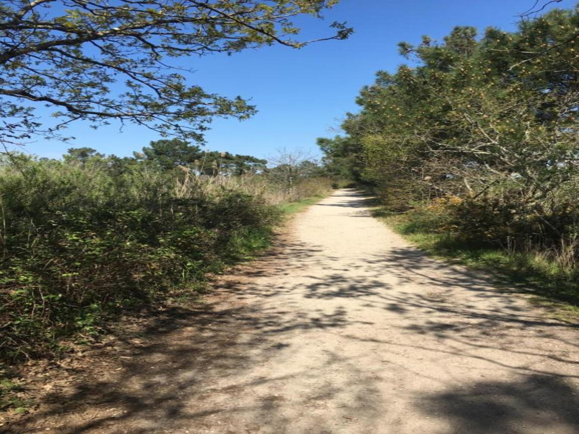 Knusse studio op palen aan de baai van Arcachon, Le Teich - foto 32