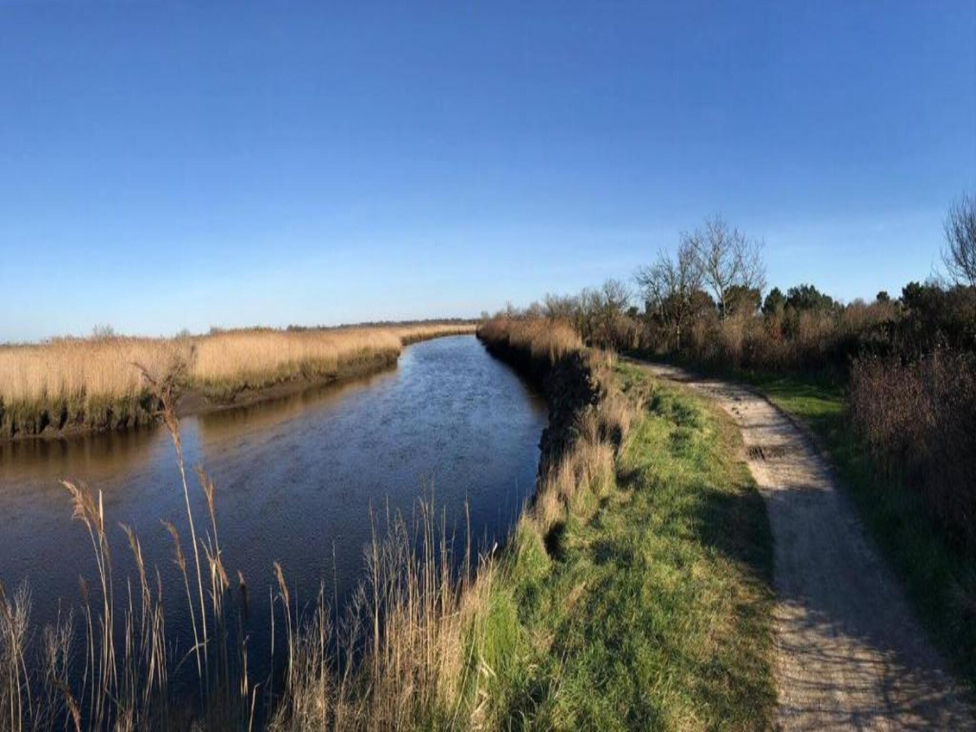 Knusse studio op palen aan de baai van Arcachon, Le Teich - foto 33