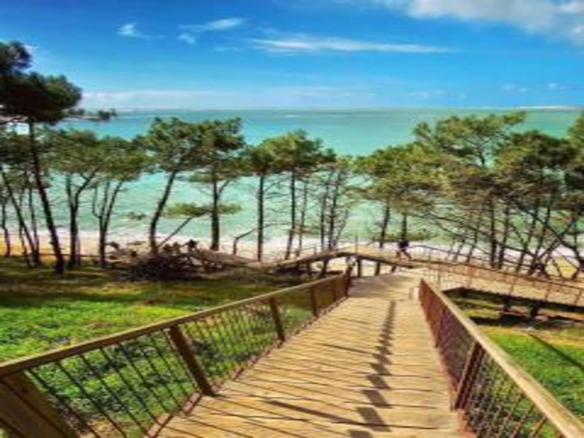 Knusse studio op palen aan de baai van Arcachon, Le Teich - foto 20