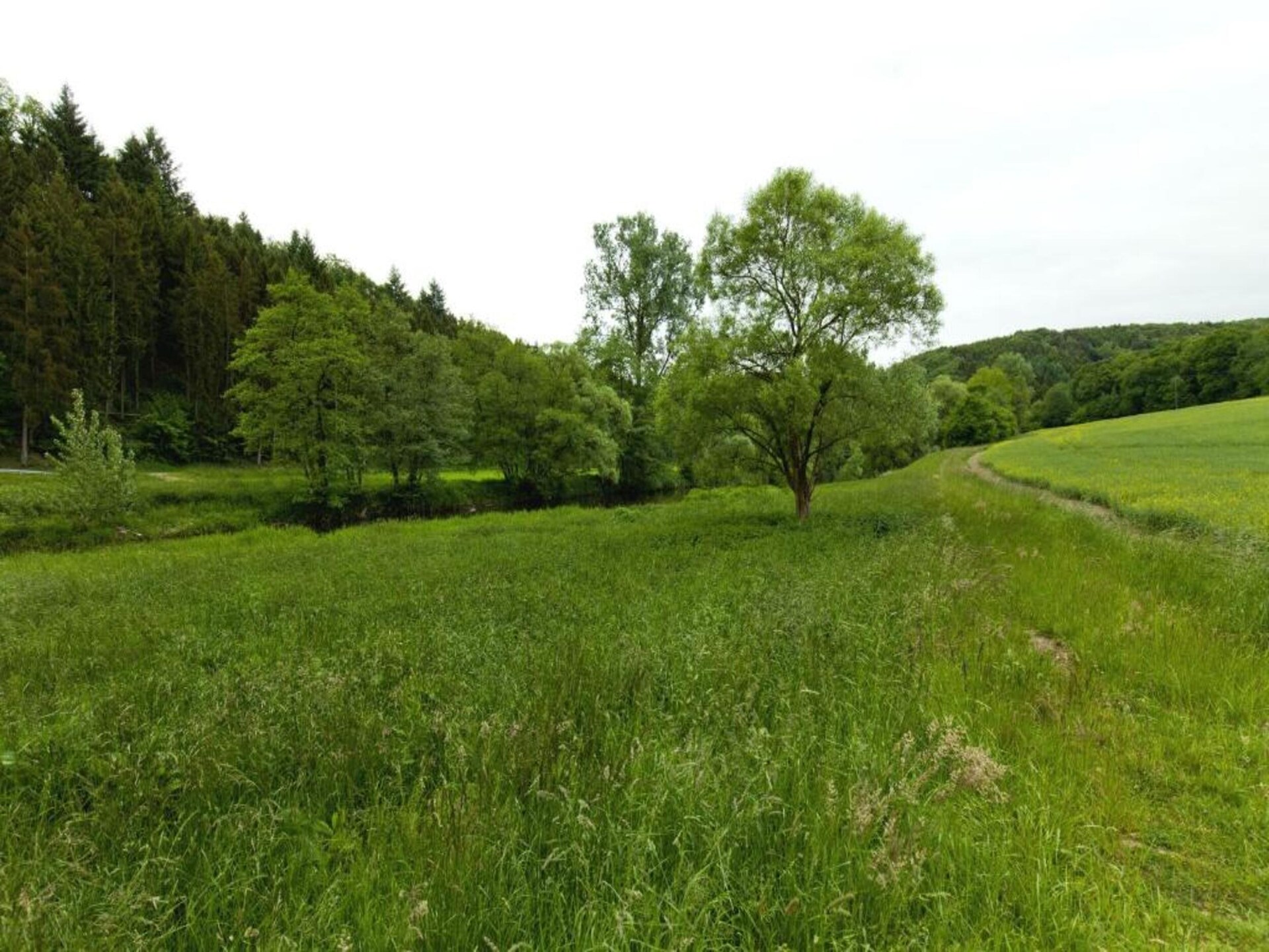 Rustiek appartement in het Westerwald bij het bos – 4 personen - foto 32