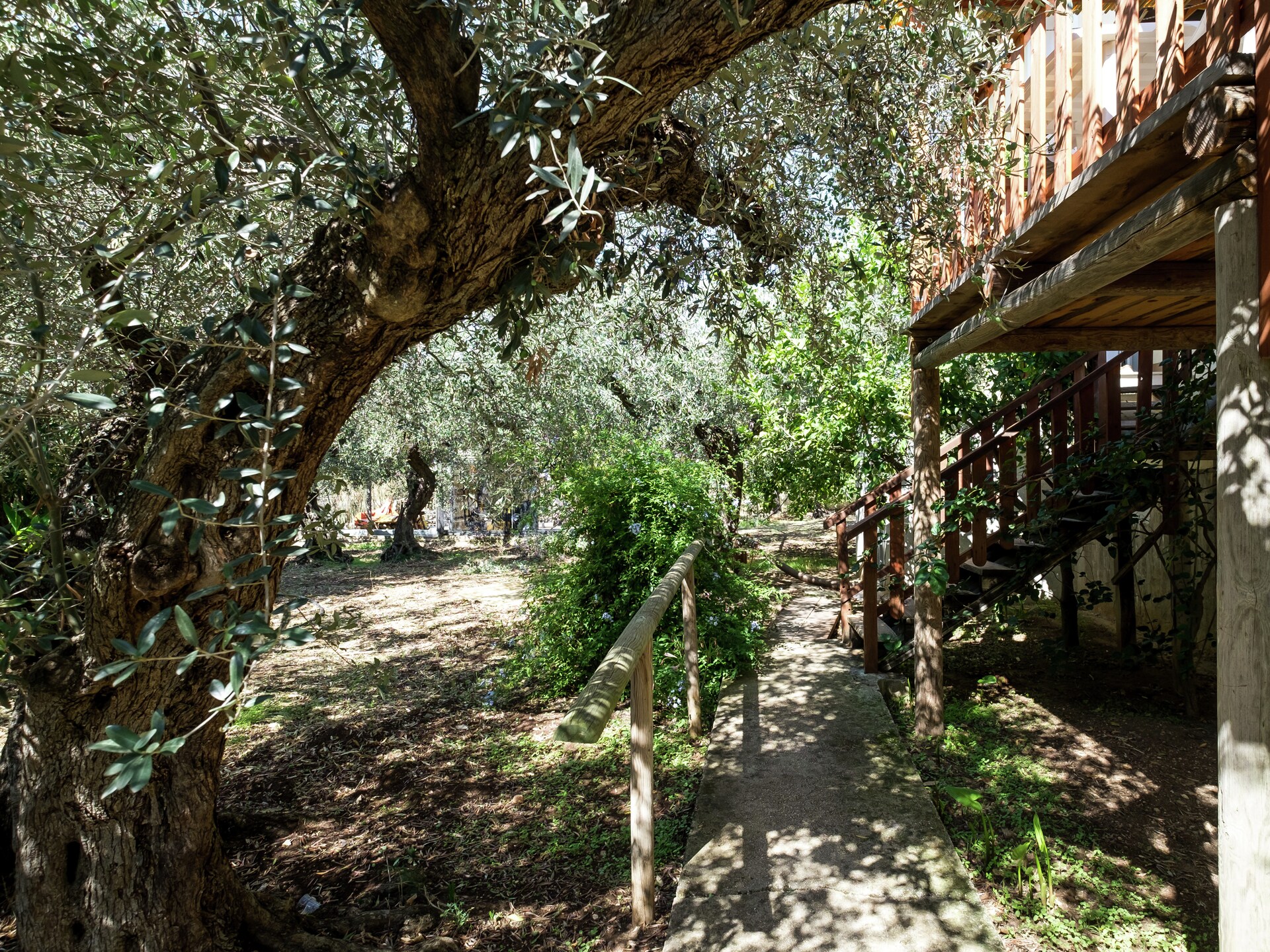 Knus vakantiehuis met zwembad en tuin op het Siciliaanse platteland bij Sciacca - foto 30
