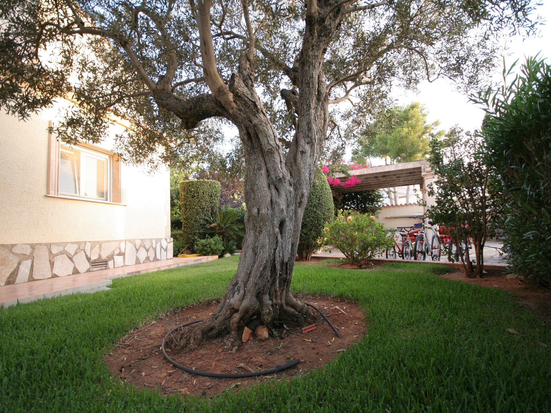Villa Somontes: Vrijstaande oase met privézwembad op 200m van zee in Denia - foto 28