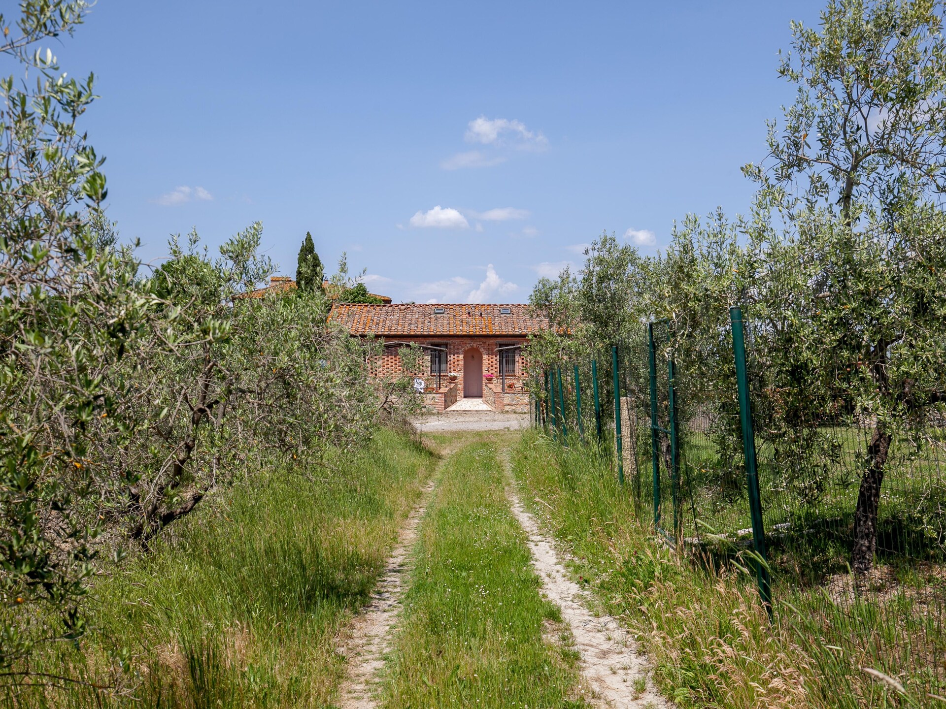Bosco: Authentiek Toscane appartement met zwembad tussen groene heuvels - foto 22