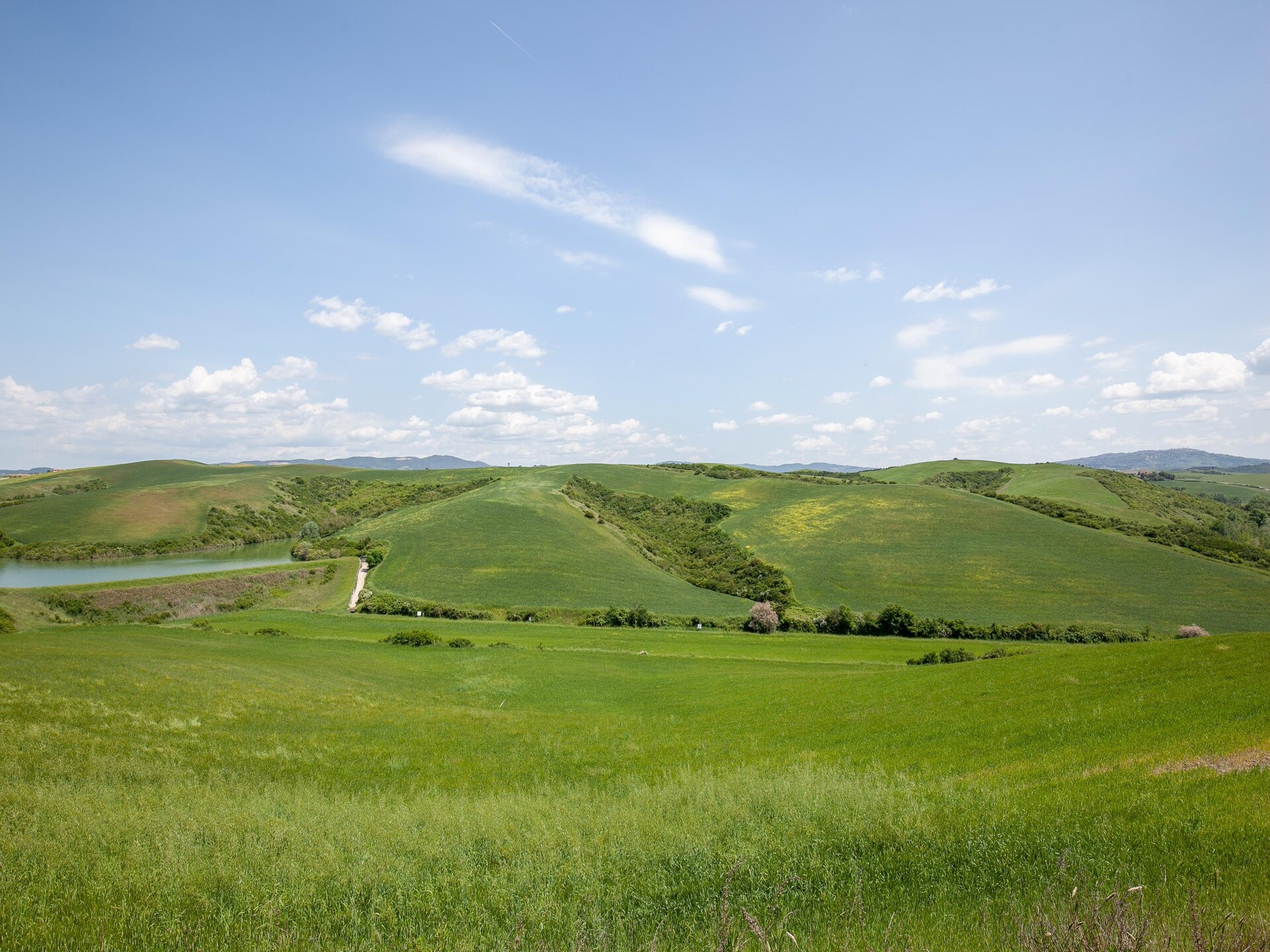Bosco: Authentiek Toscane appartement met zwembad tussen groene heuvels - foto 40