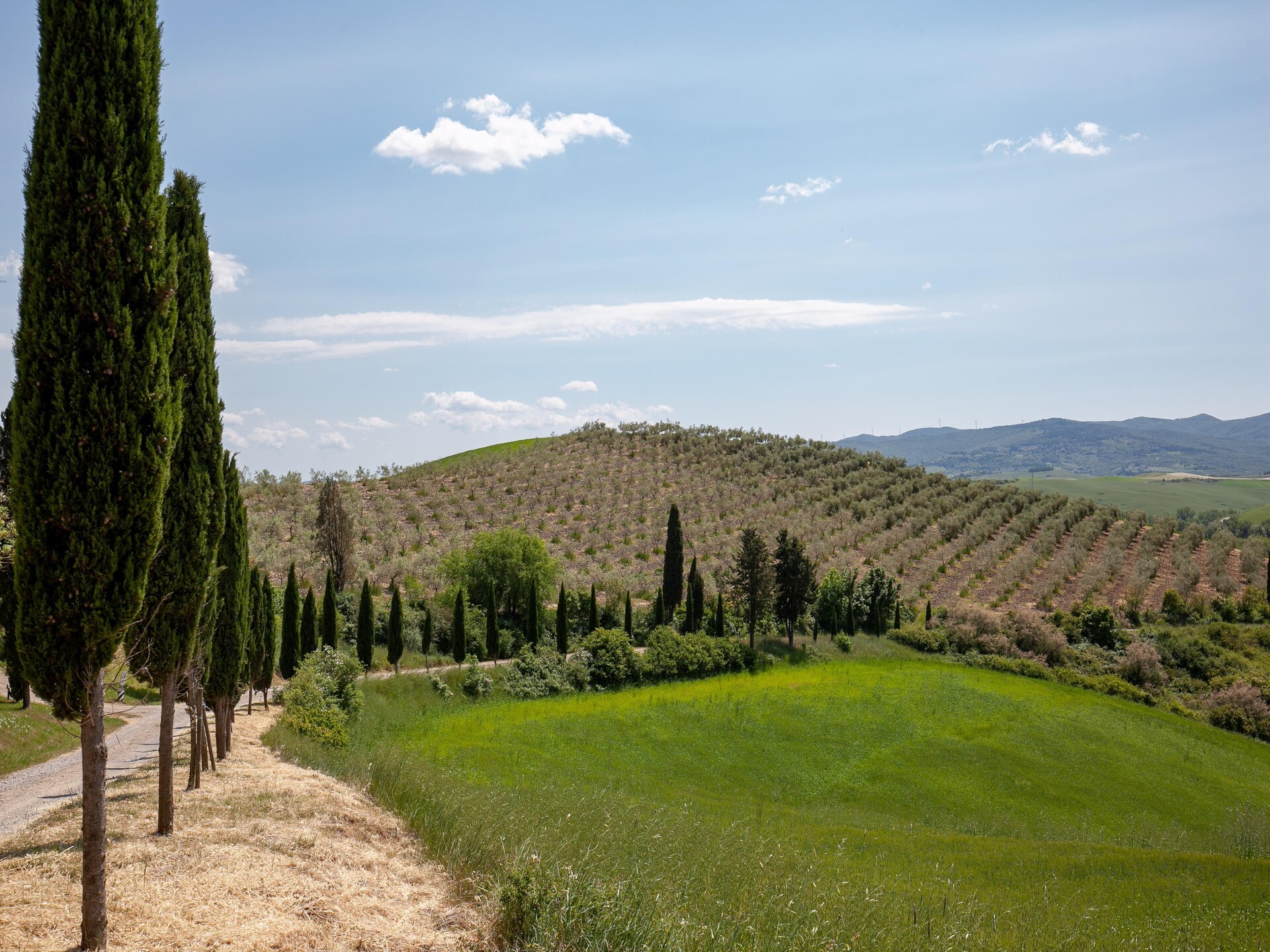 Bosco: Authentiek Toscane appartement met zwembad tussen groene heuvels - foto 20
