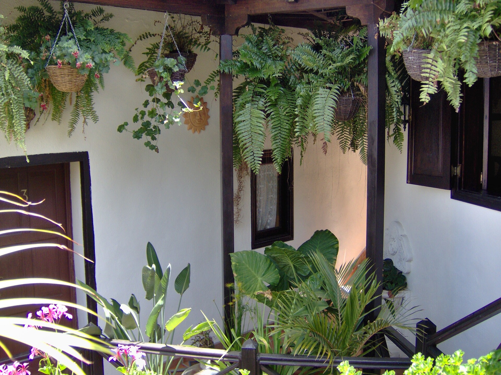 Knus appartement met dakterras in Icod de los Vinos, Tenerife - foto 17