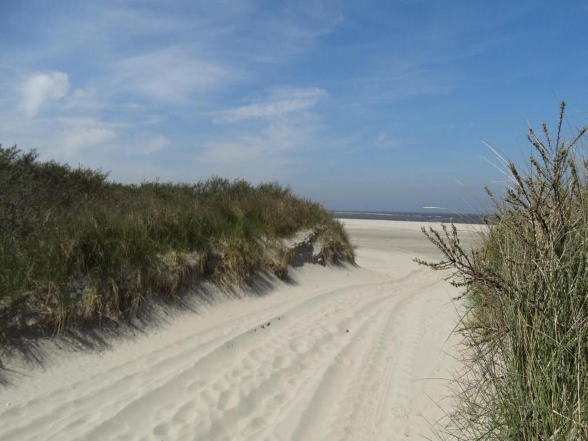 Luxe Country House op Aquadelta voor 6 personen met huisdieren in Zeeland - foto 23