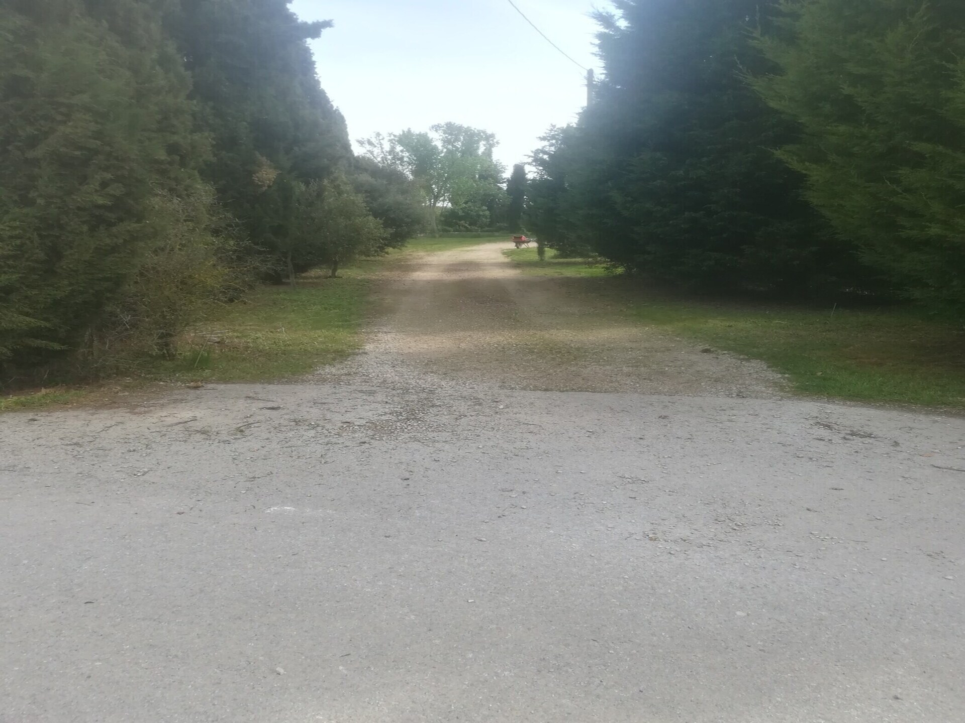 Authentiek 19e-eeuws landhuis in de bossen van Calonge de Segarra - foto 22