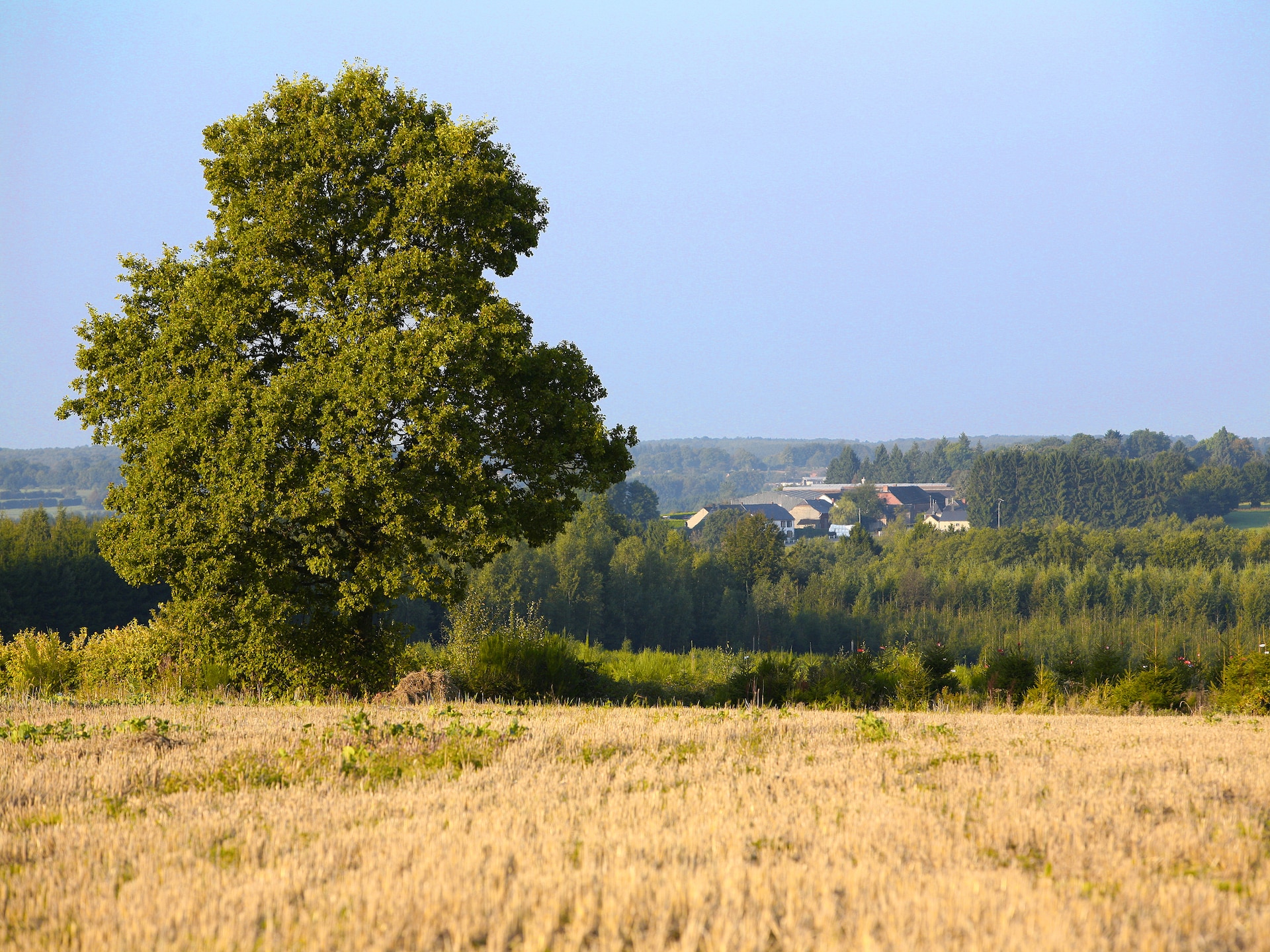 6-persoons landhuis met open haard in Bruly de Pesche - foto 27