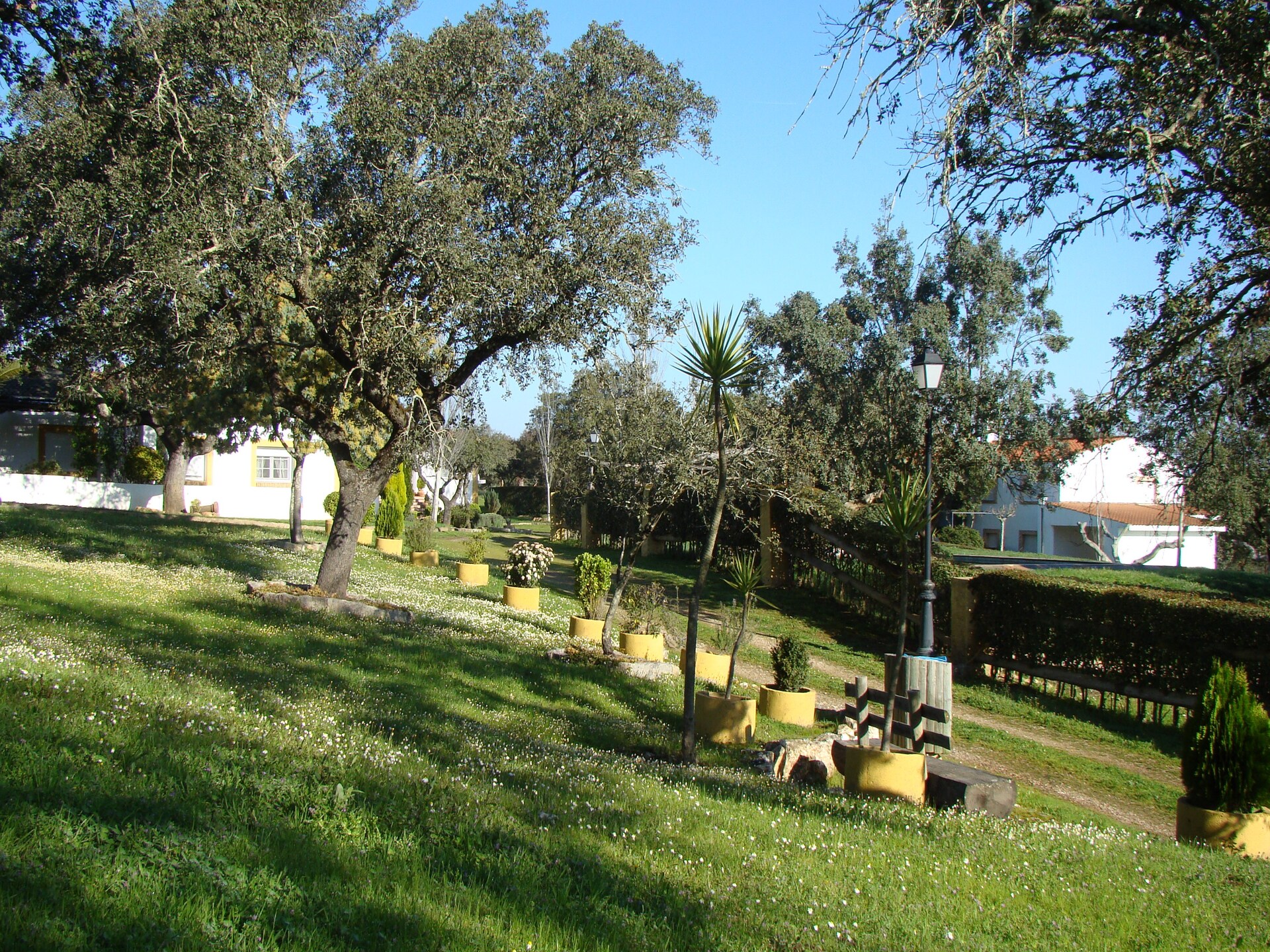 Vrijstaand vakantiehuis Malvazul nabij bos en meer in Extremadura - foto 29