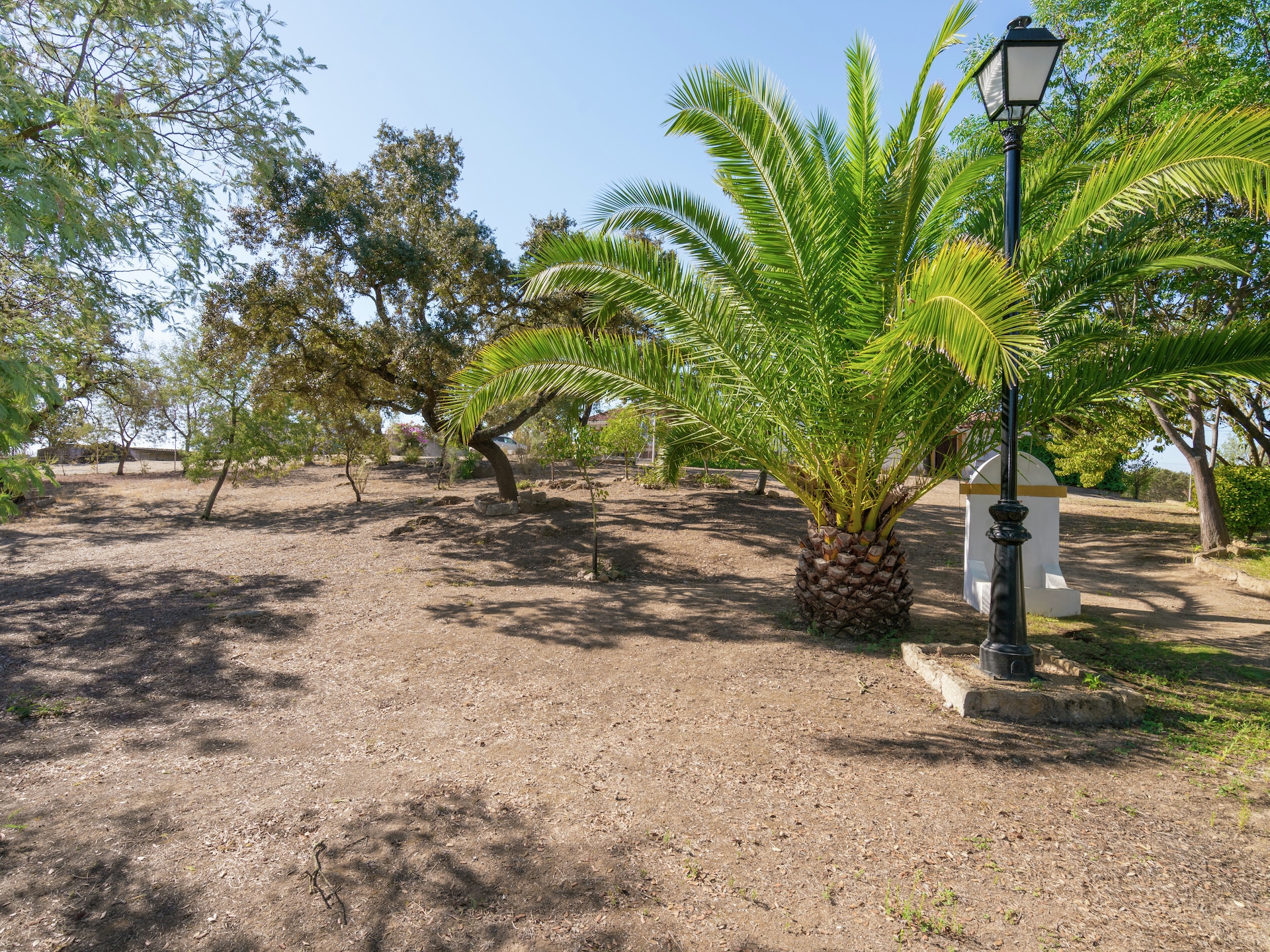 Vrijstaand vakantiehuis Malvazul nabij bos en meer in Extremadura - foto 24