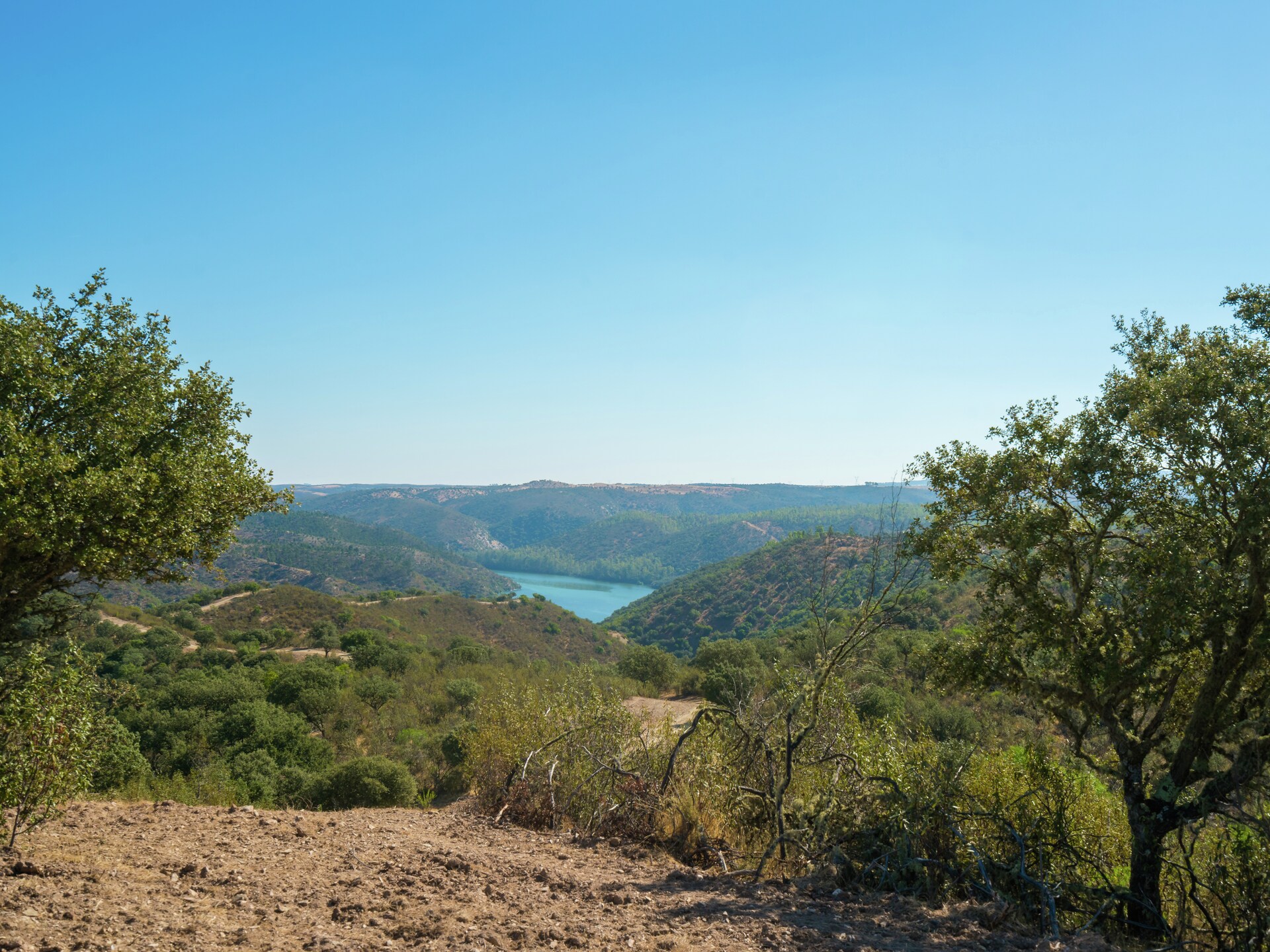 Vrijstaand vakantiehuis Malvazul nabij bos en meer in Extremadura - foto 28