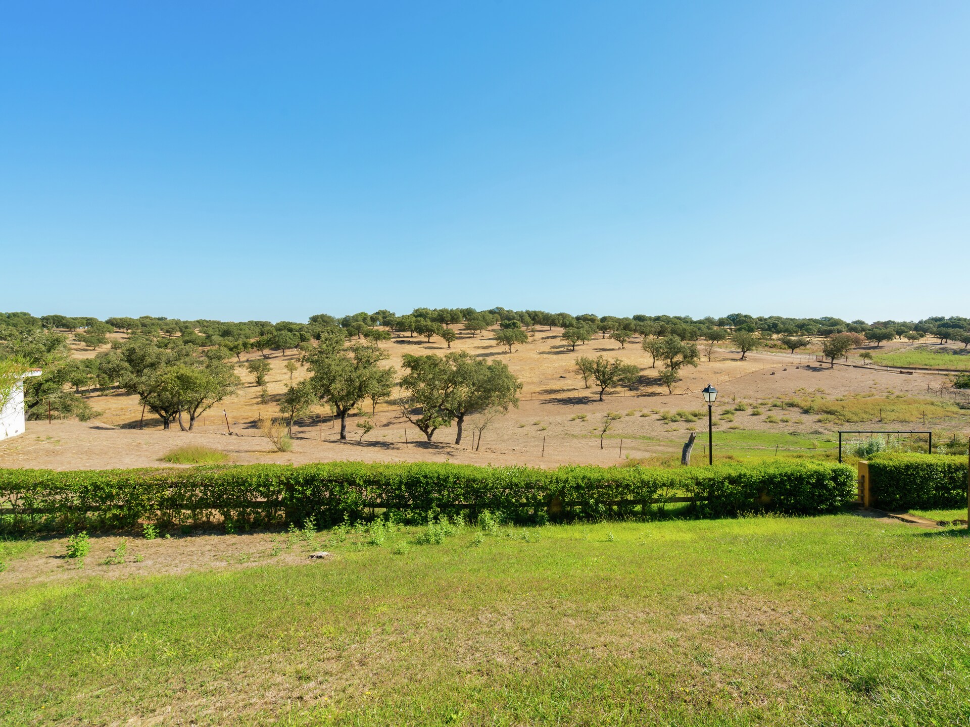 Vrijstaand vakantiehuis Malvazul nabij bos en meer in Extremadura - foto 30