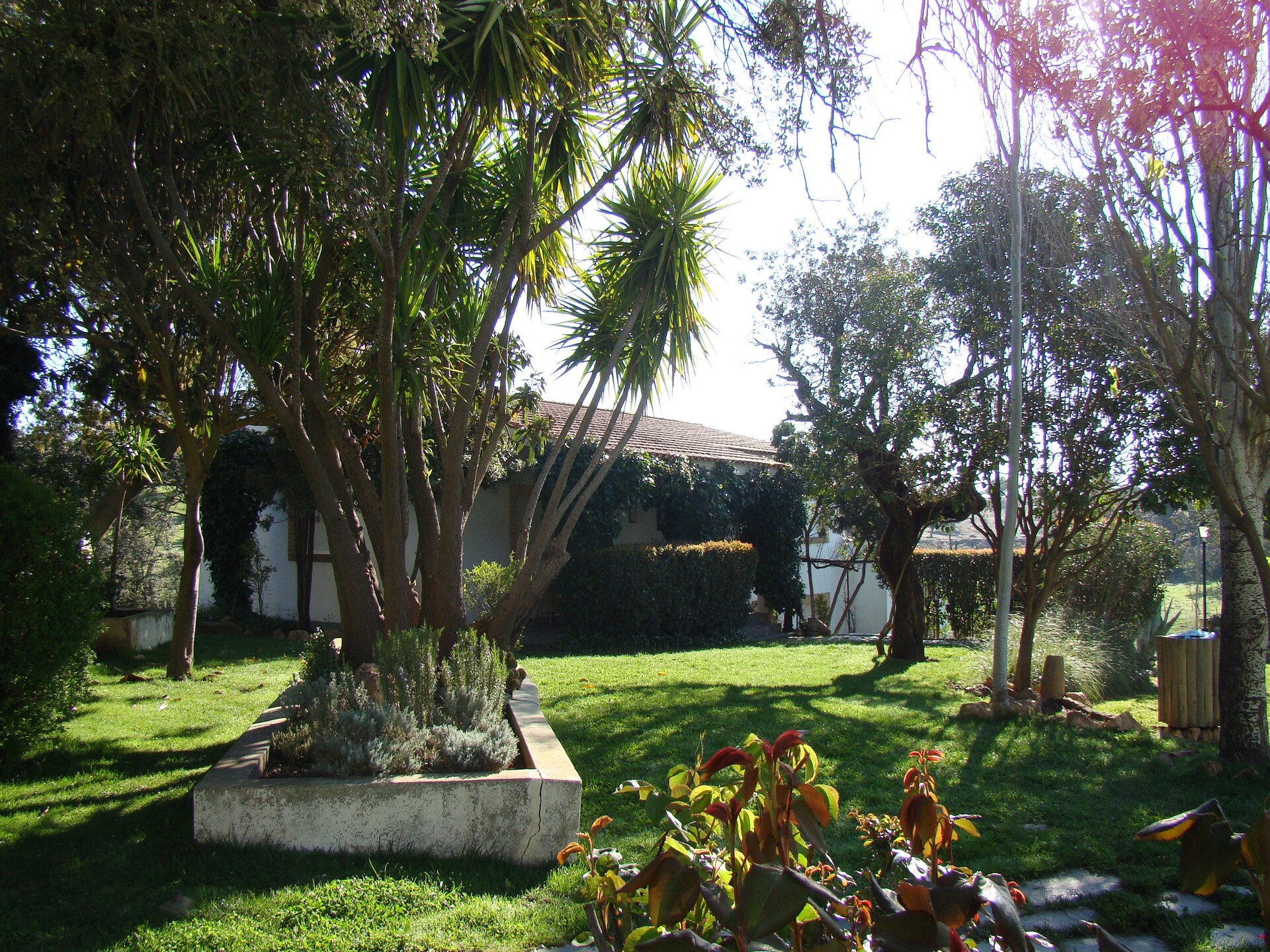 Vrijstaand vakantiehuis La Serena in de bossen van Extremadura - foto 23