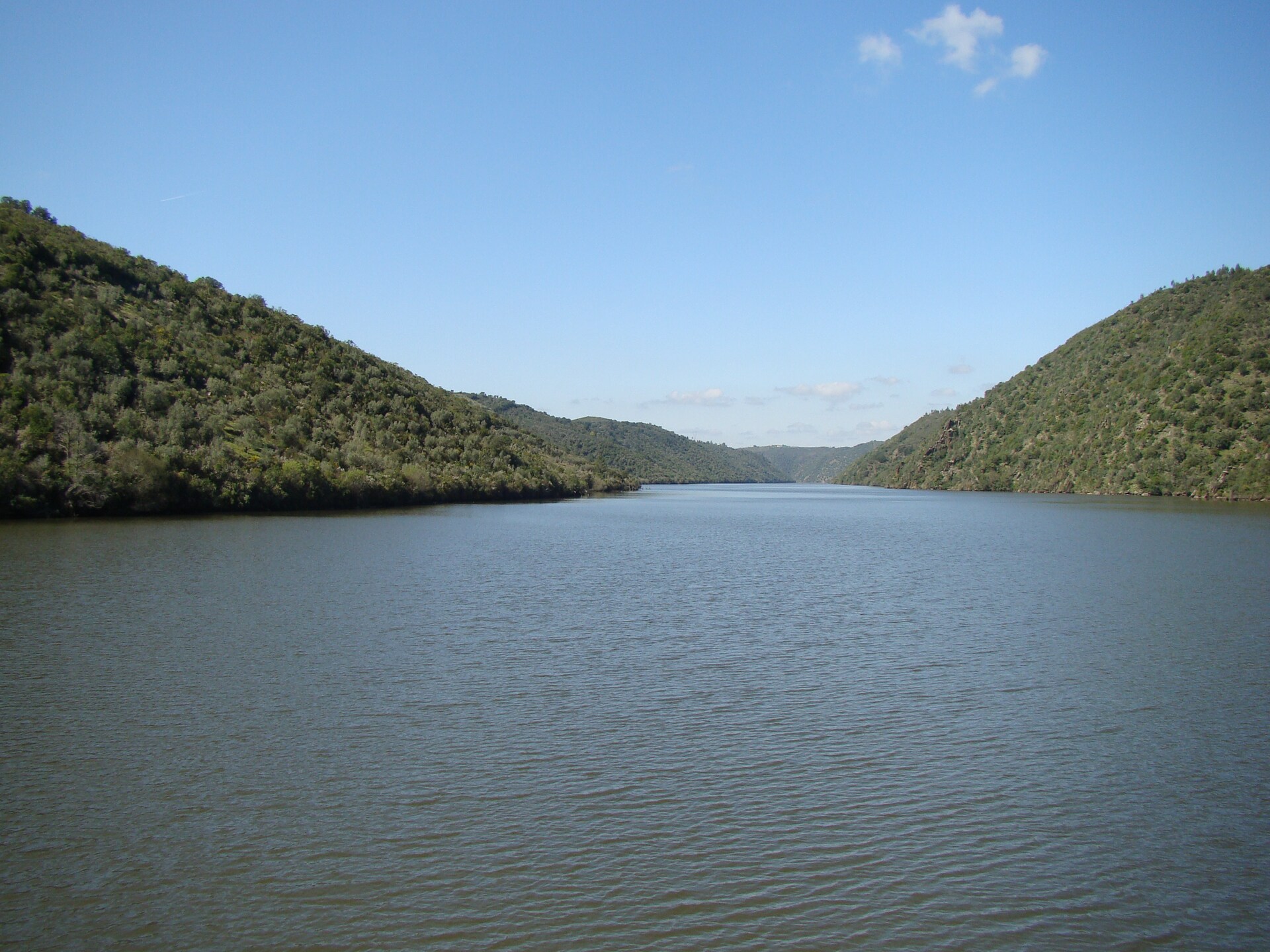 Vrijstaand vakantiehuis La Serena in de bossen van Extremadura - foto 33